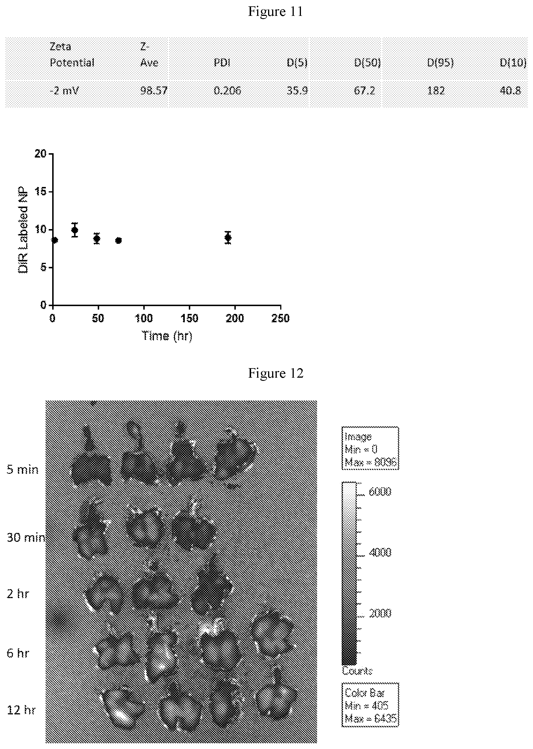 Patent US12350381 Figure 6 – Nanoparticles containing cellular membrane and uses thereof