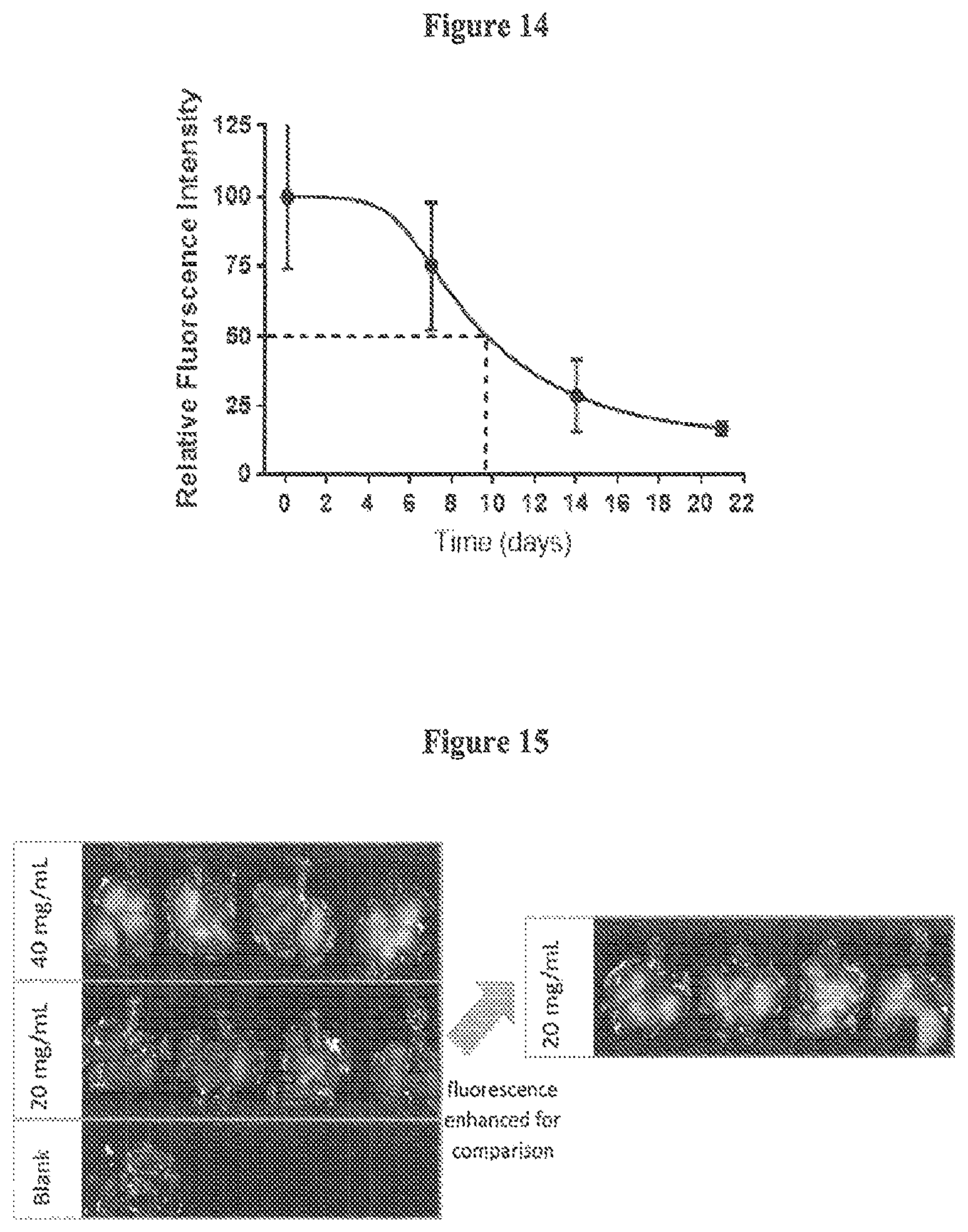 Patent US12350381 Figure 8 – Nanoparticles containing cellular membrane and uses thereof