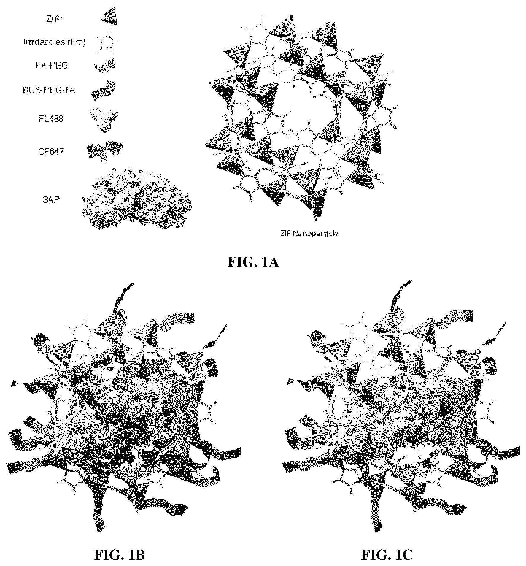 Patent US12350384 Figure 1 – Nanoparticles for treating prostate cancer