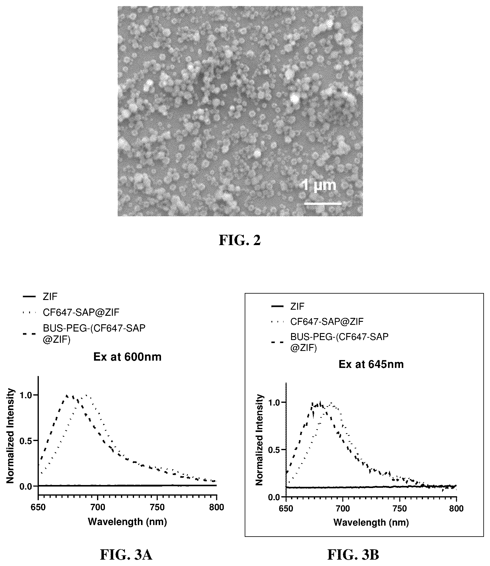 Patent US12350384 Figure 2 – Nanoparticles for treating prostate cancer