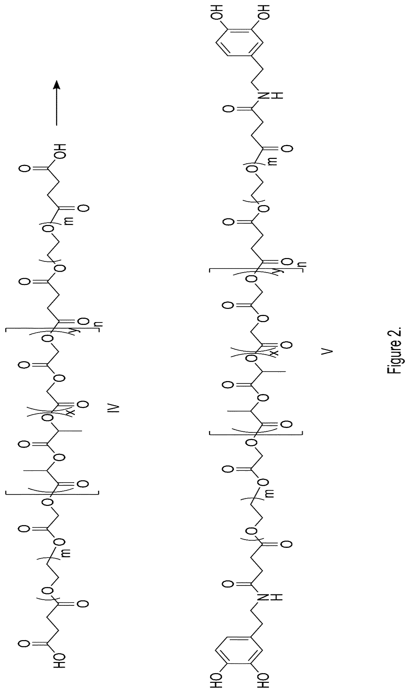Patent US12350398 Figure 2 – Biodegradable bone glue