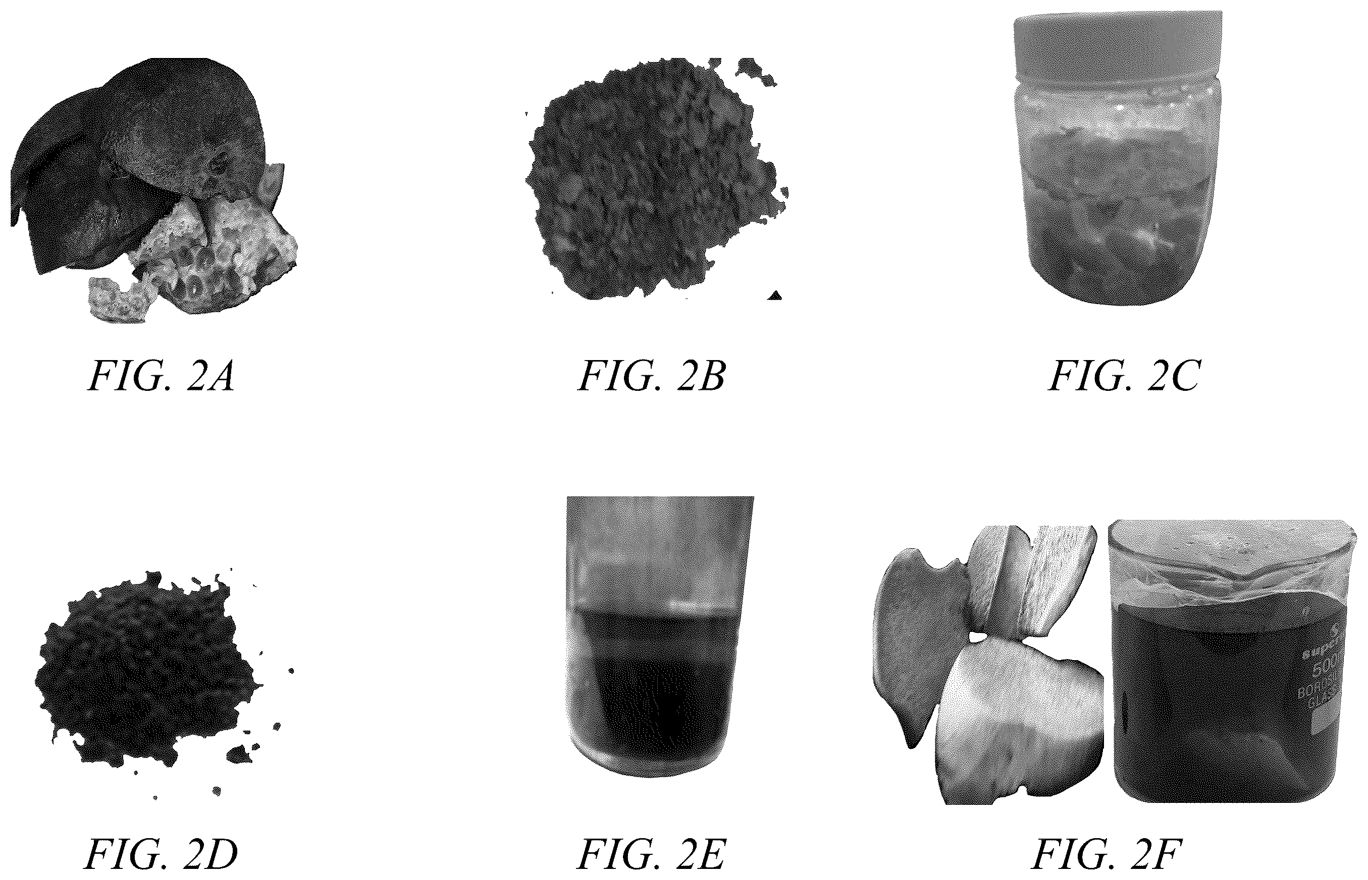 Patent US12350400 Figure 2 – Biodegradable nanocomposite surgical screw containing bone nanoparticles