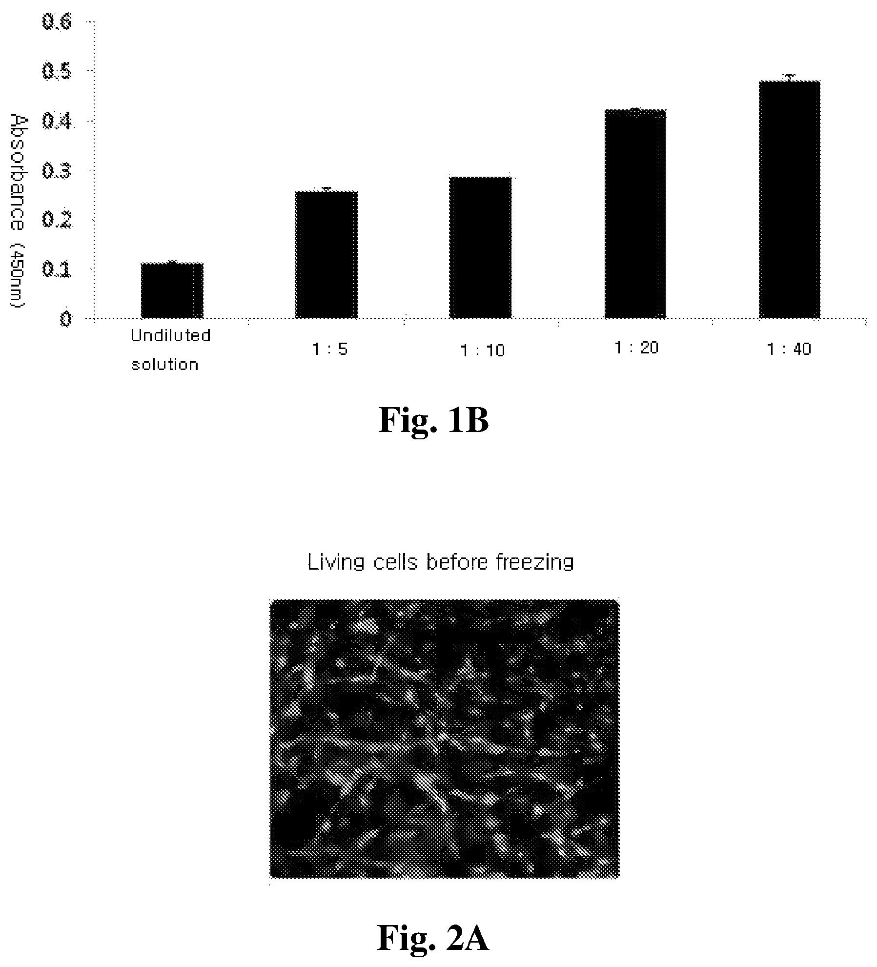Patent US12350401 Figure 2 – Mesenchymal stem cells-hydrogel-biodegradable or mesenchymal stem cells-hydrogel-nondegradable support composition for alleviating or improving epidermolysis bullosa