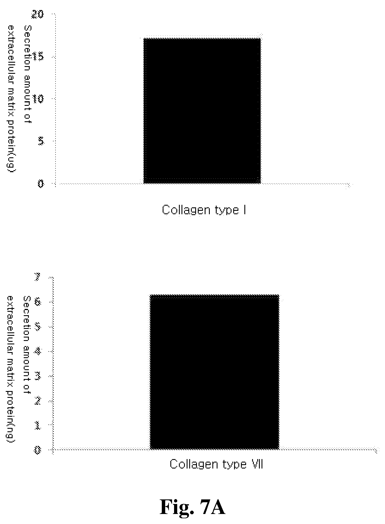 Patent US12350401 Figure 8 – Mesenchymal stem cells-hydrogel-biodegradable or mesenchymal stem cells-hydrogel-nondegradable support composition for alleviating or improving epidermolysis bullosa