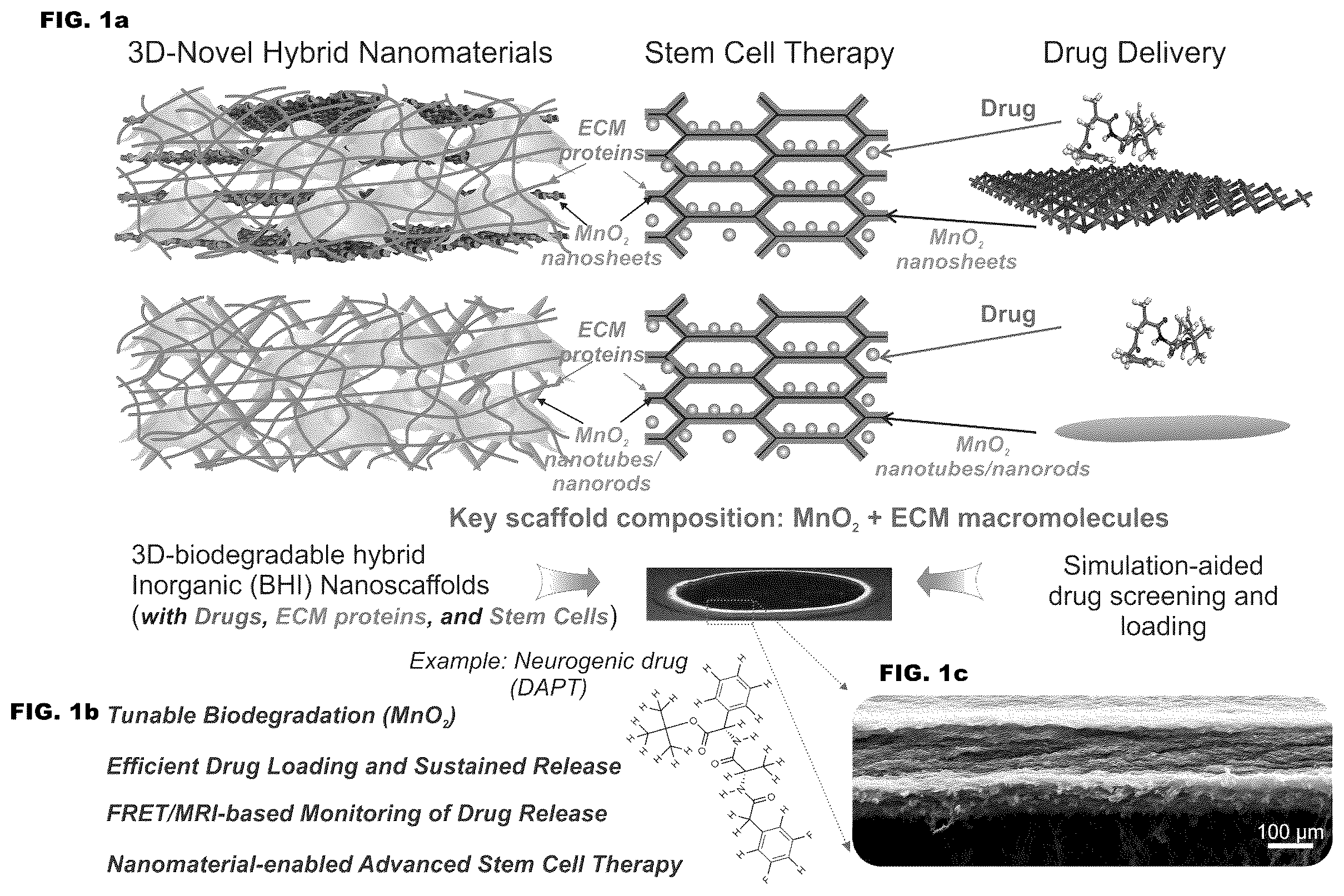 Patent US12350404 Figure 1 – 3D-porous hybrid anti-inflammatory nanoscaffold for drug delivery and tissue engineering