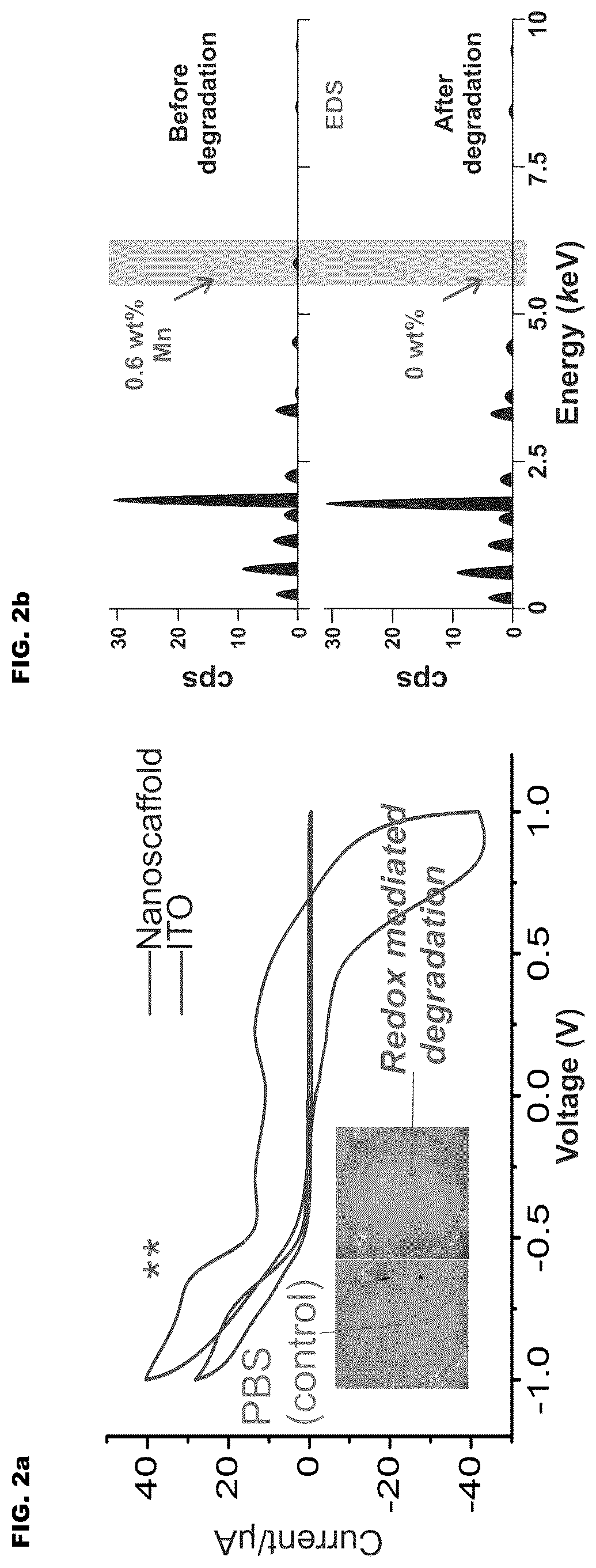 Patent US12350404 Figure 2 – 3D-porous hybrid anti-inflammatory nanoscaffold for drug delivery and tissue engineering