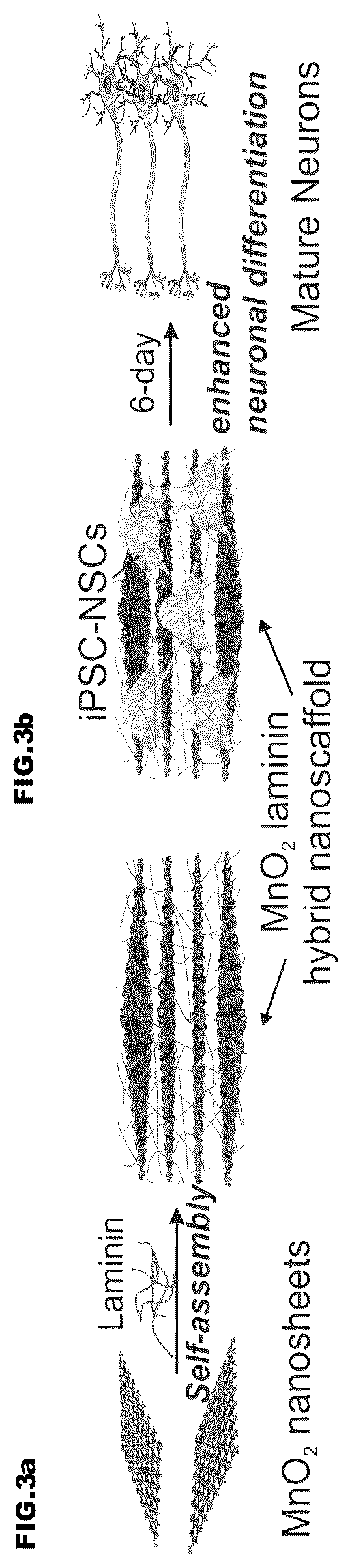 Patent US12350404 Figure 3 – 3D-porous hybrid anti-inflammatory nanoscaffold for drug delivery and tissue engineering