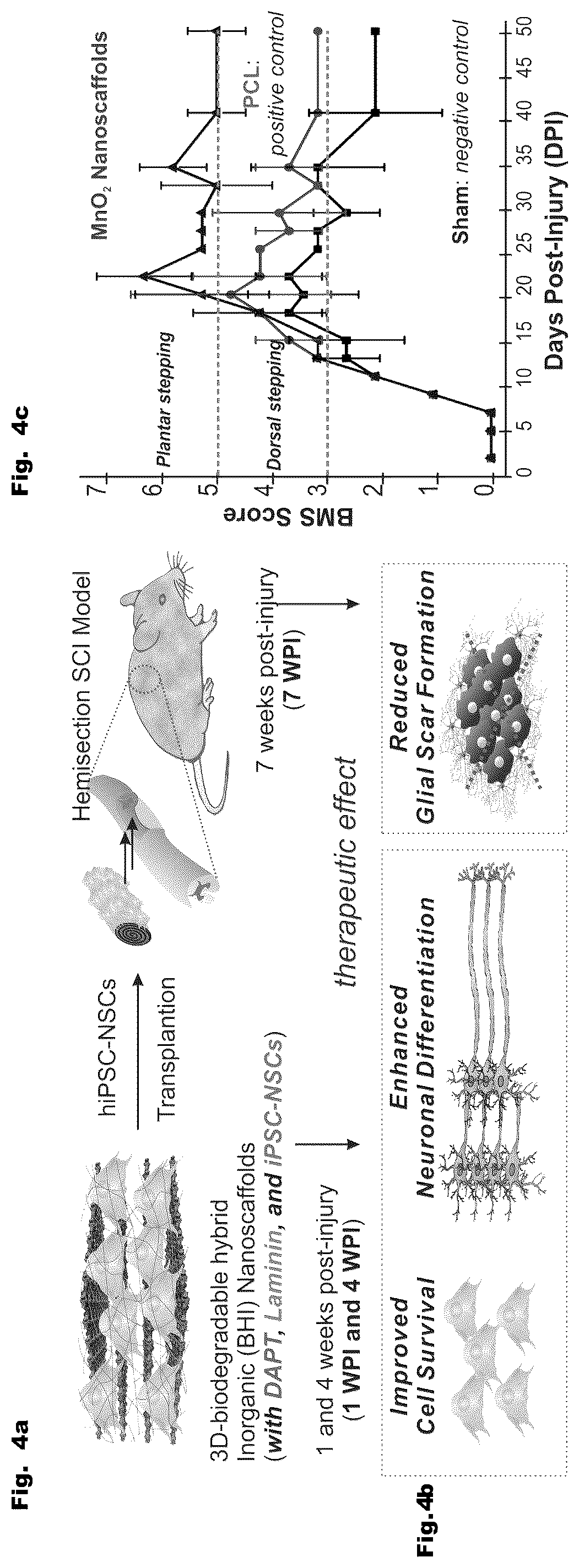 Patent US12350404 Figure 4 – 3D-porous hybrid anti-inflammatory nanoscaffold for drug delivery and tissue engineering