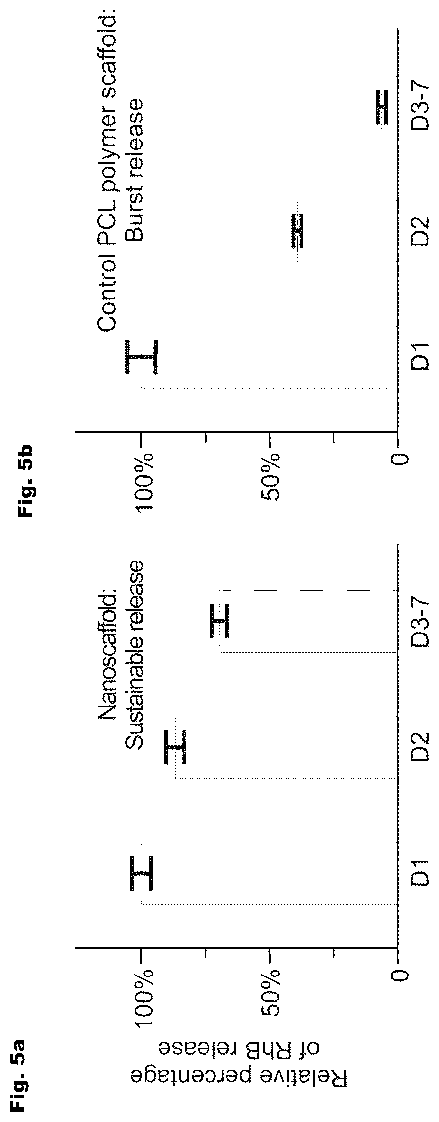 Patent US12350404 Figure 5 – 3D-porous hybrid anti-inflammatory nanoscaffold for drug delivery and tissue engineering