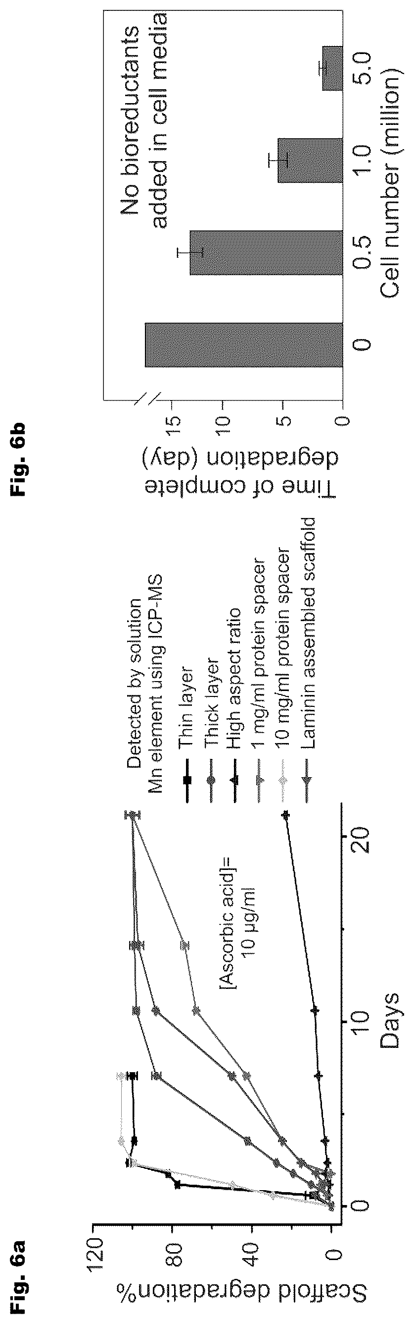 Patent US12350404 Figure 6 – 3D-porous hybrid anti-inflammatory nanoscaffold for drug delivery and tissue engineering