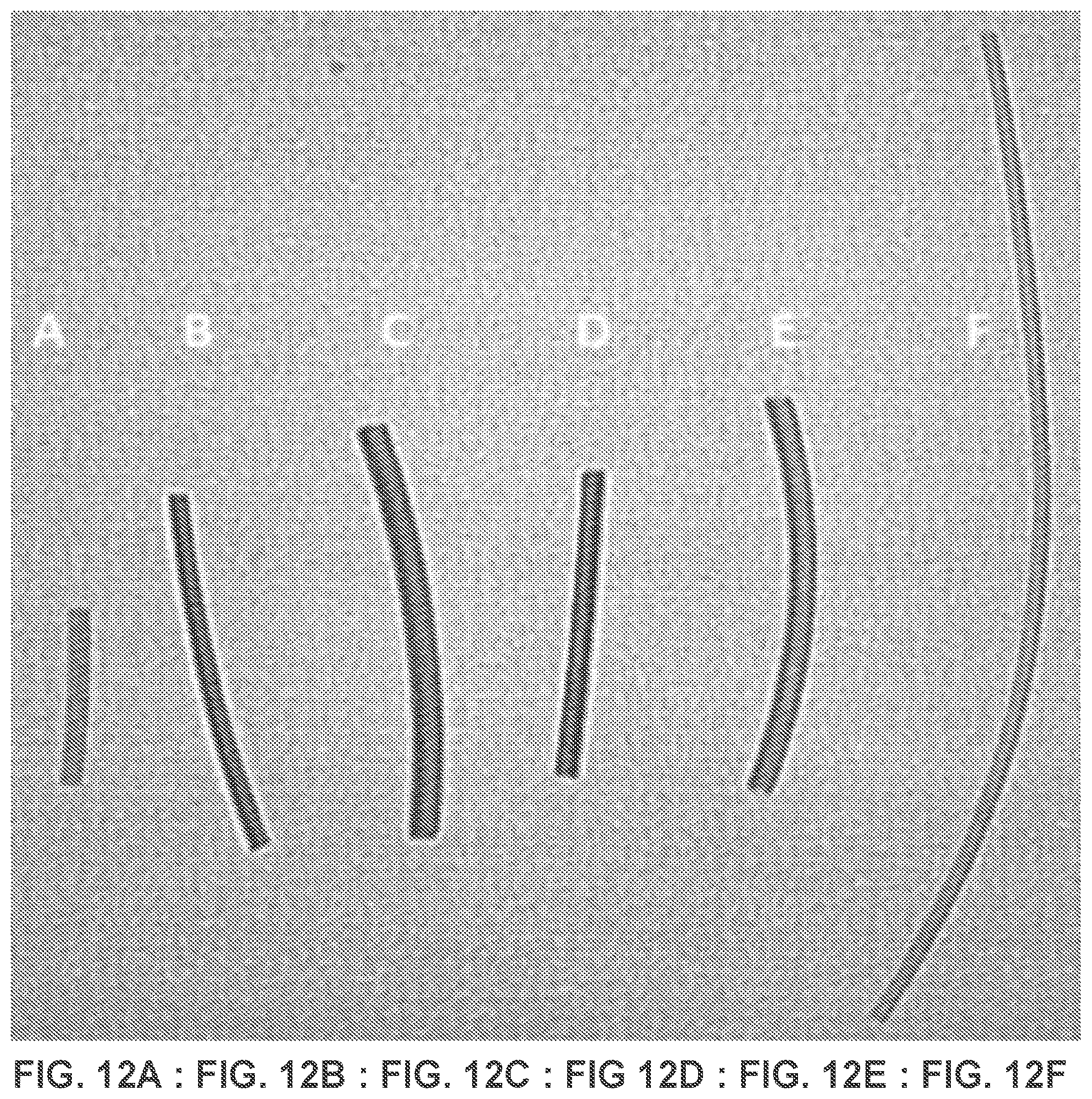 Patent US12350405 Figure 8 – High strength biomedical materials