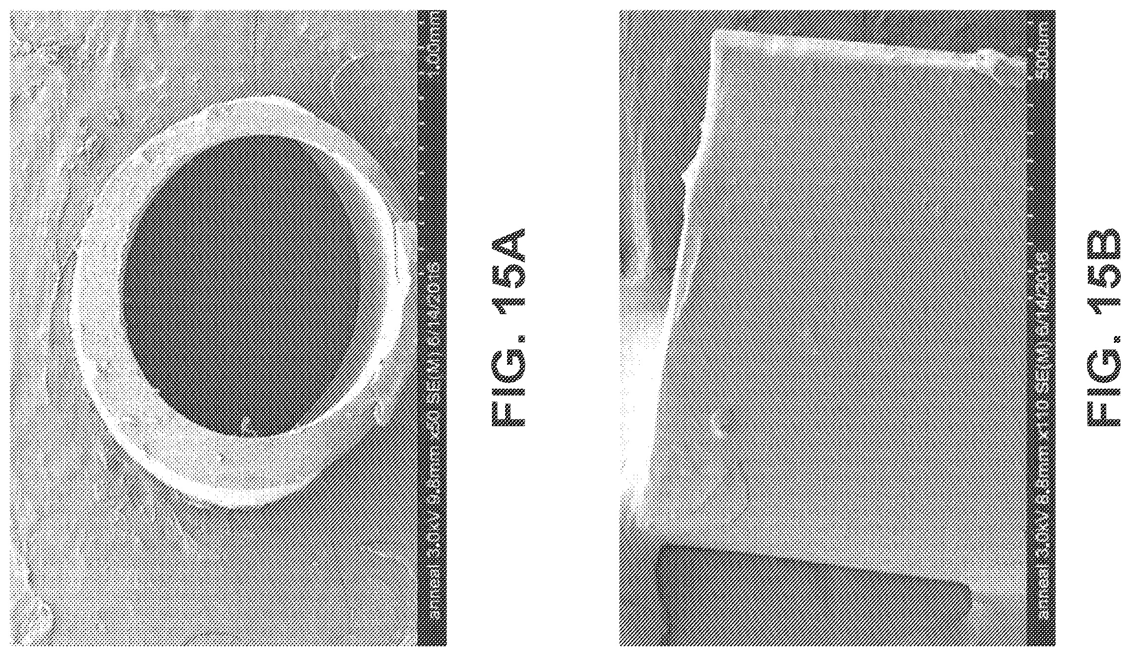 Patent US12350405 Figure 10 – High strength biomedical materials