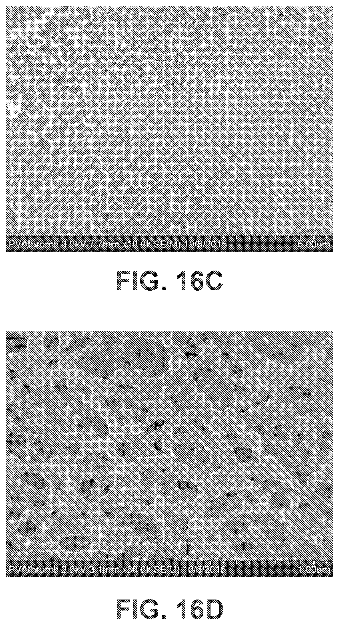 Patent US12350405 Figure 12 – High strength biomedical materials