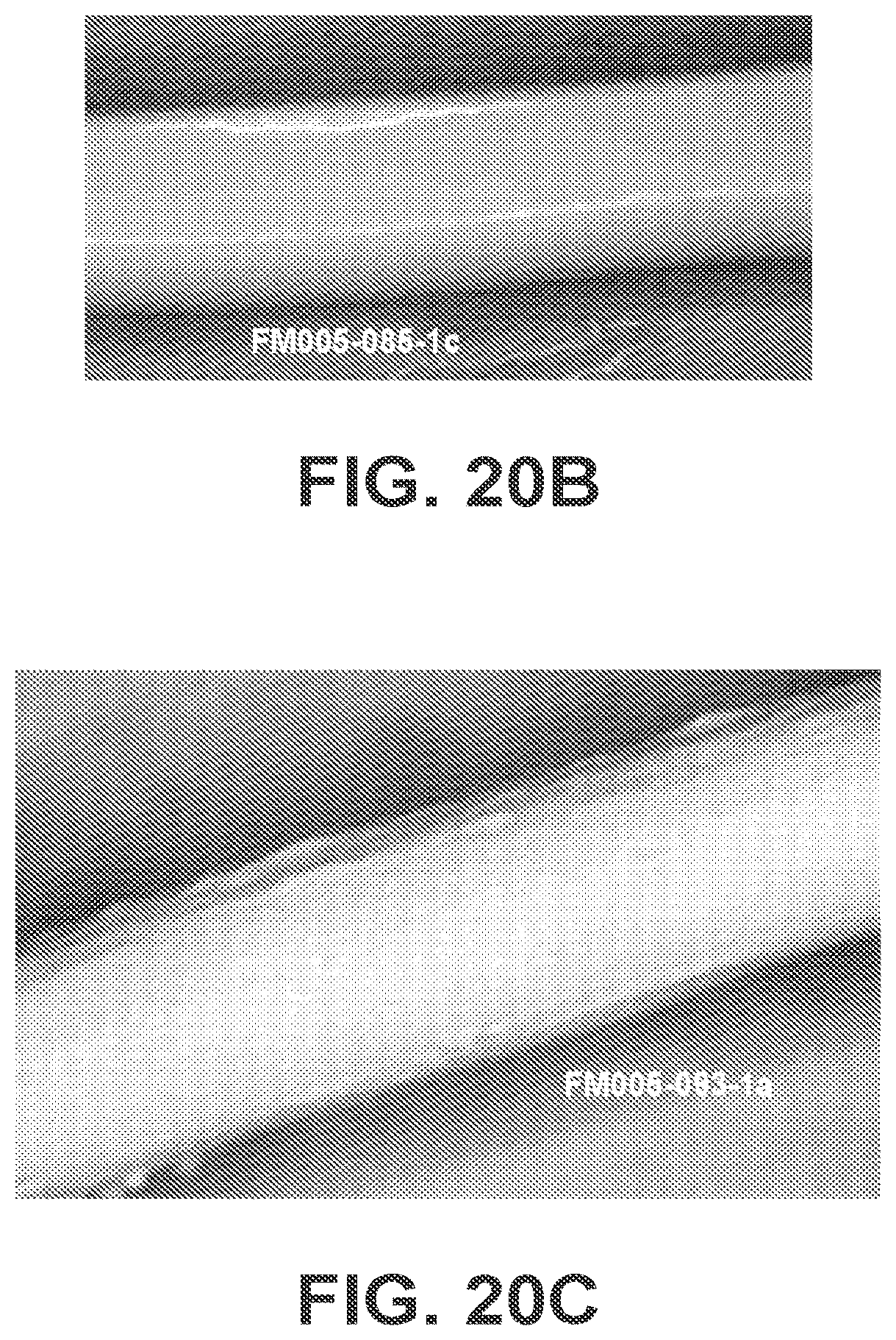 Patent US12350405 Figure 16 – High strength biomedical materials