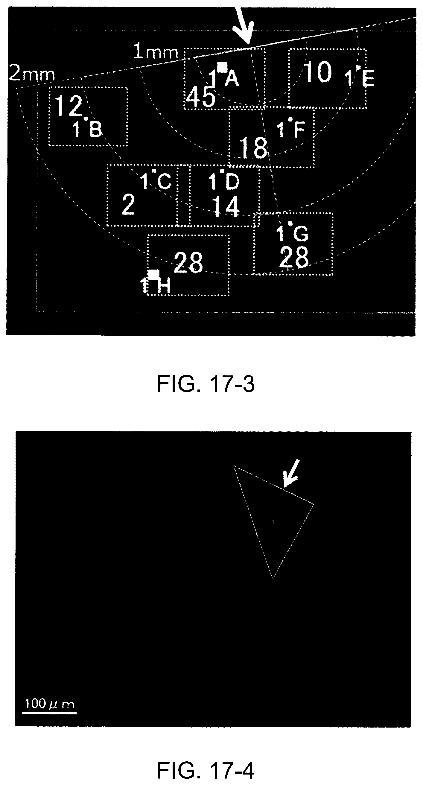 Patent US12350471 Figure 18 – Measurement system, measurement method, injector, and method for injecting biomolecule-containing solution into to-be-injected cell using same