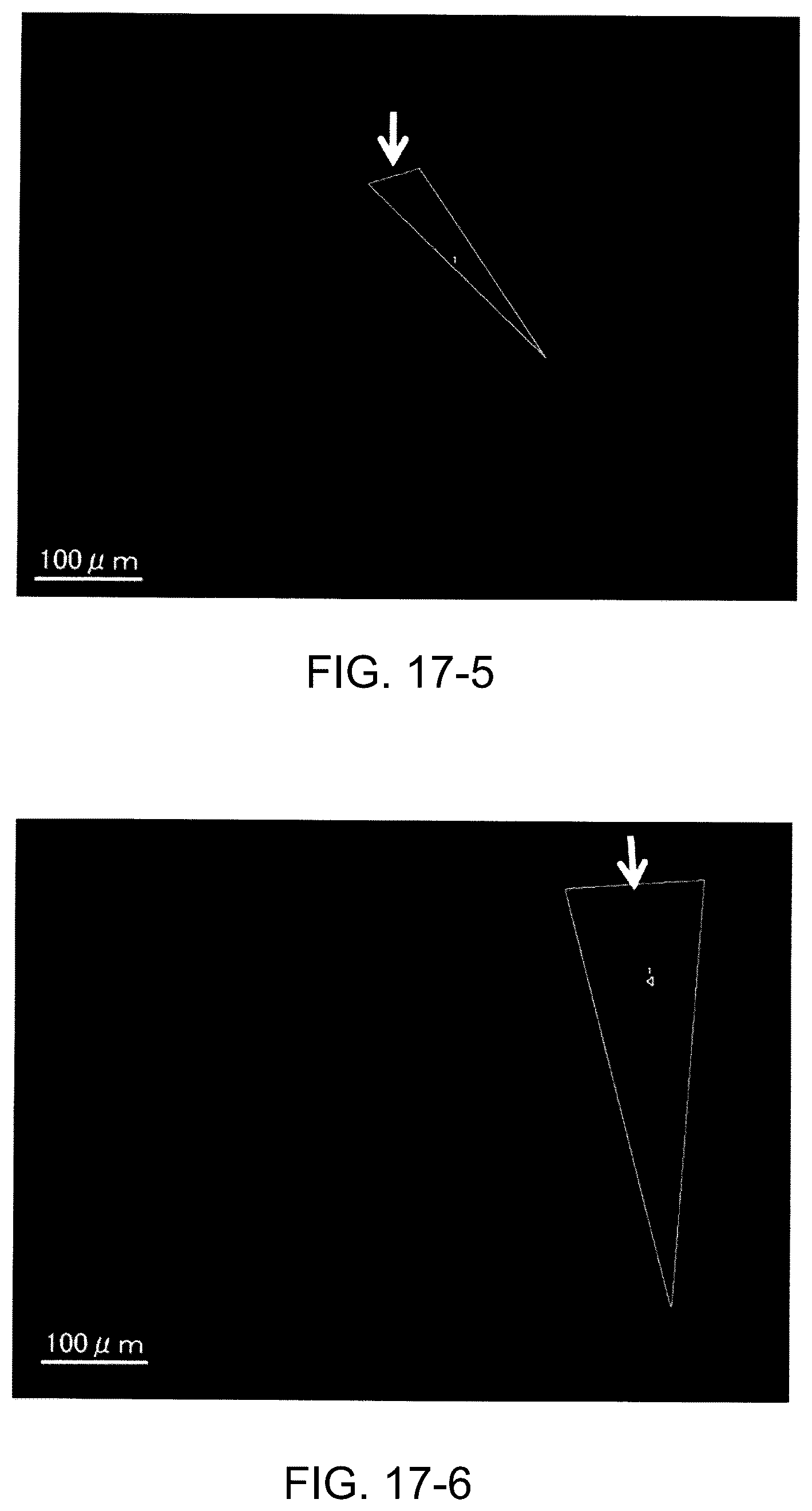 Patent US12350471 Figure 19 – Measurement system, measurement method, injector, and method for injecting biomolecule-containing solution into to-be-injected cell using same