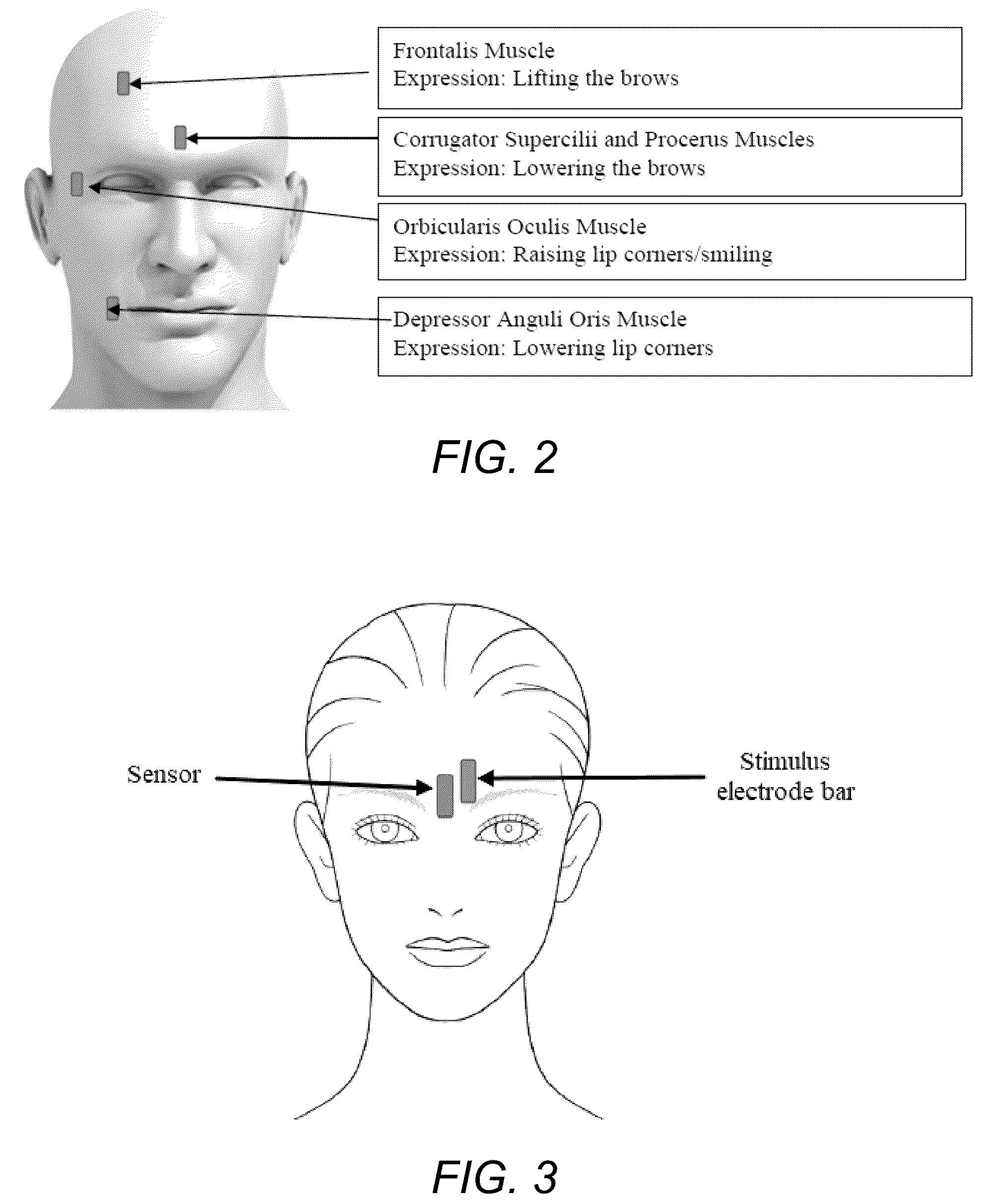 Patent US12350491 Figure 2 – Method for determining facial muscle responses