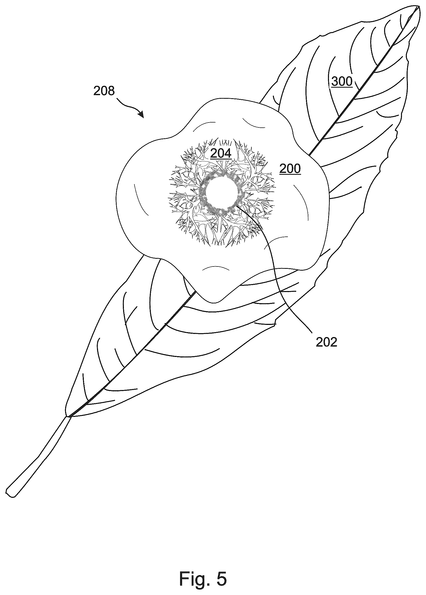 Patent US12350533 Figure 6 – Biodegradable SAP-containing pellets applicable to vegetation for fire protection and suppression