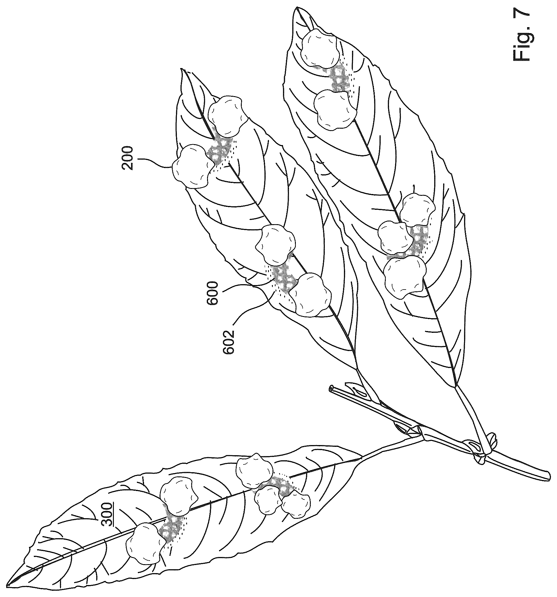 Patent US12350533 Figure 8 – Biodegradable SAP-containing pellets applicable to vegetation for fire protection and suppression