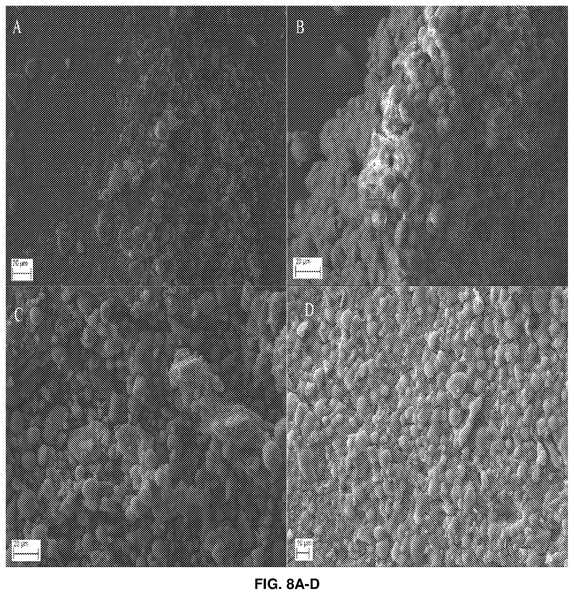 Patent US12350535 Figure 5 – In situ treatment systems for remediation of polychlorinated biphenyl contaminated building materials