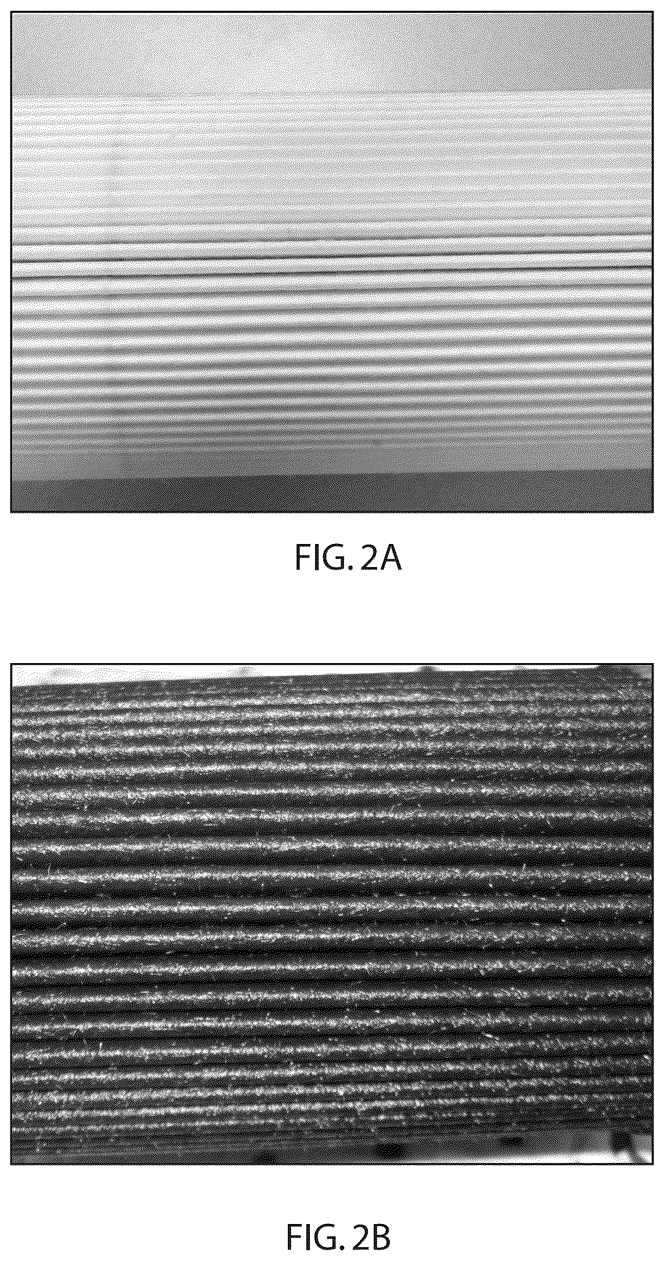 Patent US12350613 Figure 2 – Liquid filtration media, filter elements and methods