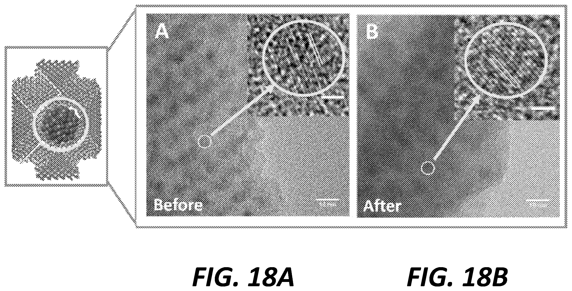 Patent US12350651 Figure 19 – Mesoporous support-immobilized metal oxide-based nanoparticles