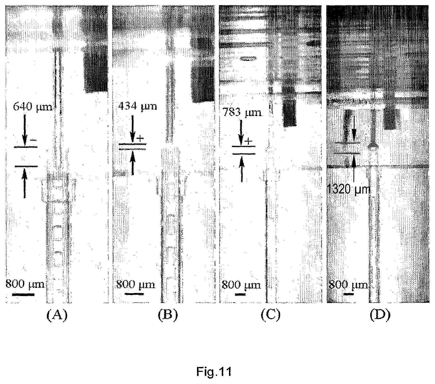 Patent US12350671 Figure 7 – Liquid bridge and system
