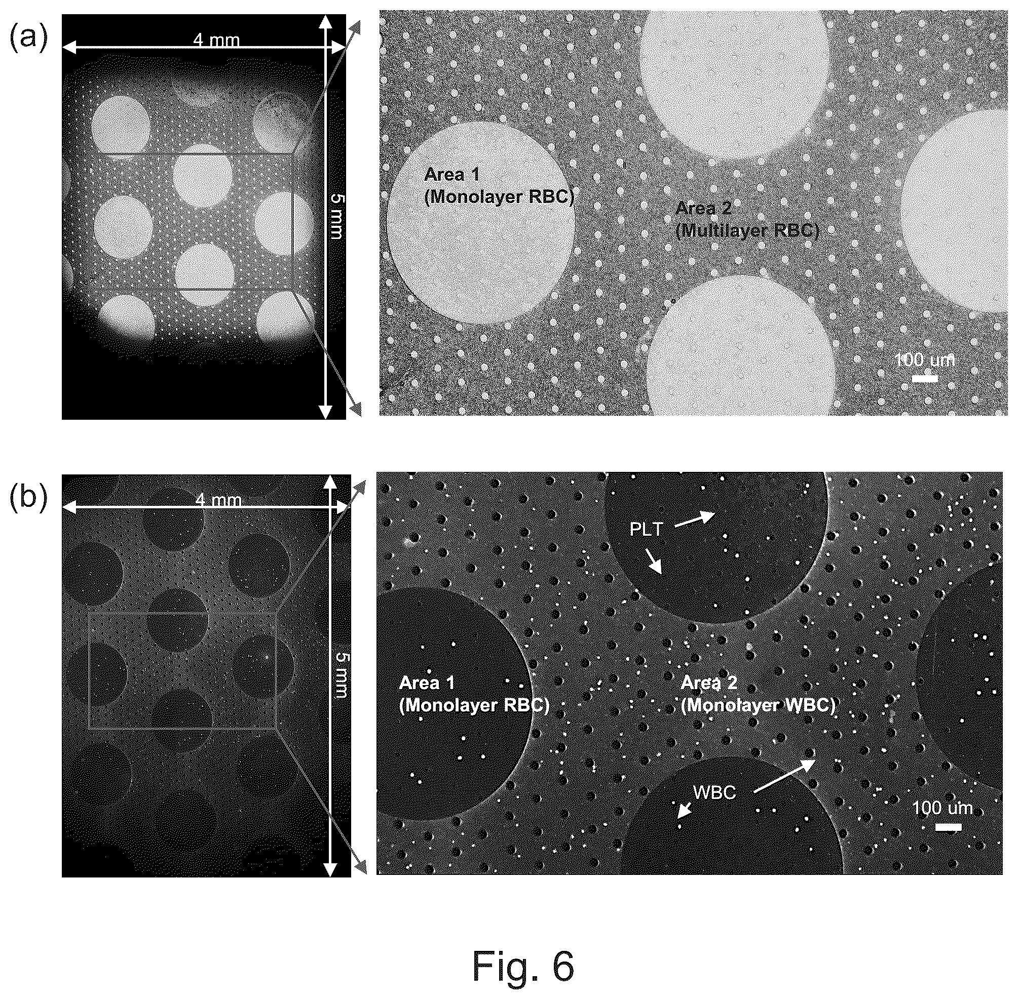 Patent US12350676 Figure 6 – Assay using sample thickness multiplexing