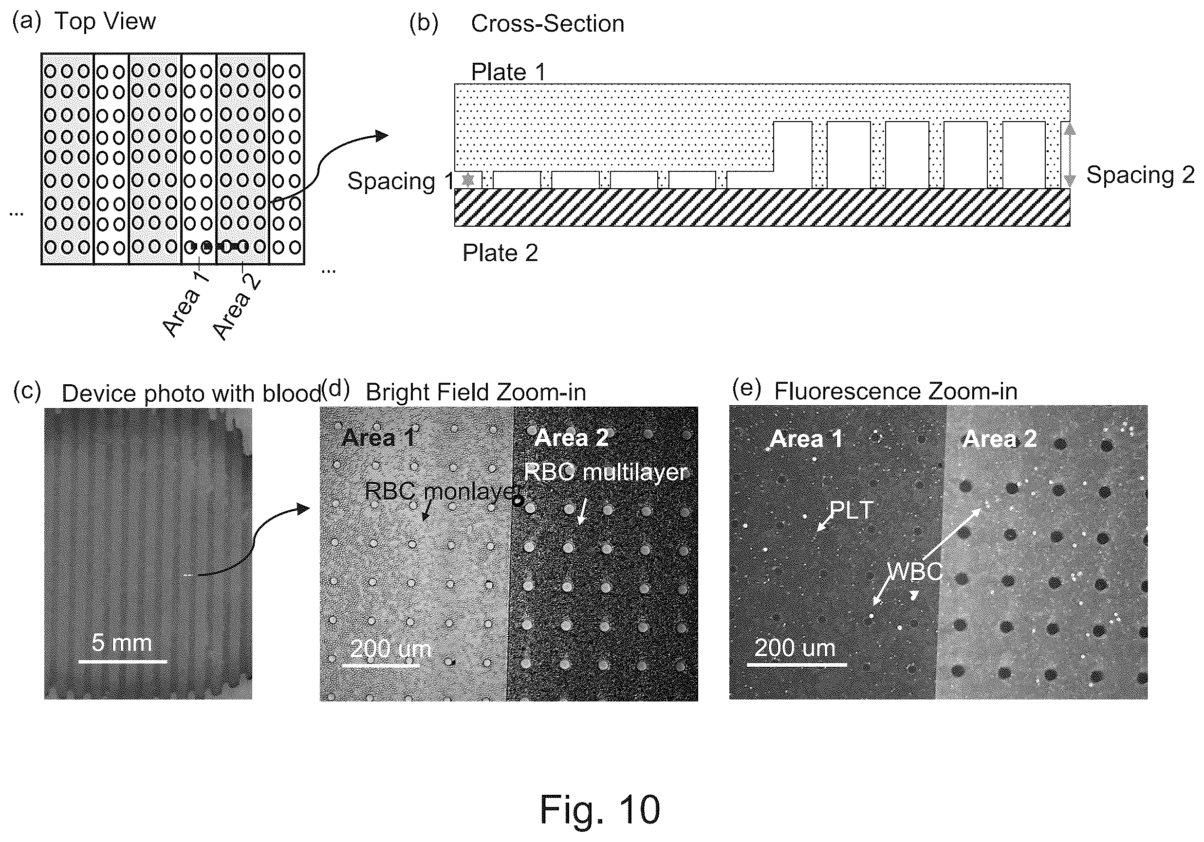 Patent US12350676 Figure 10 – Assay using sample thickness multiplexing