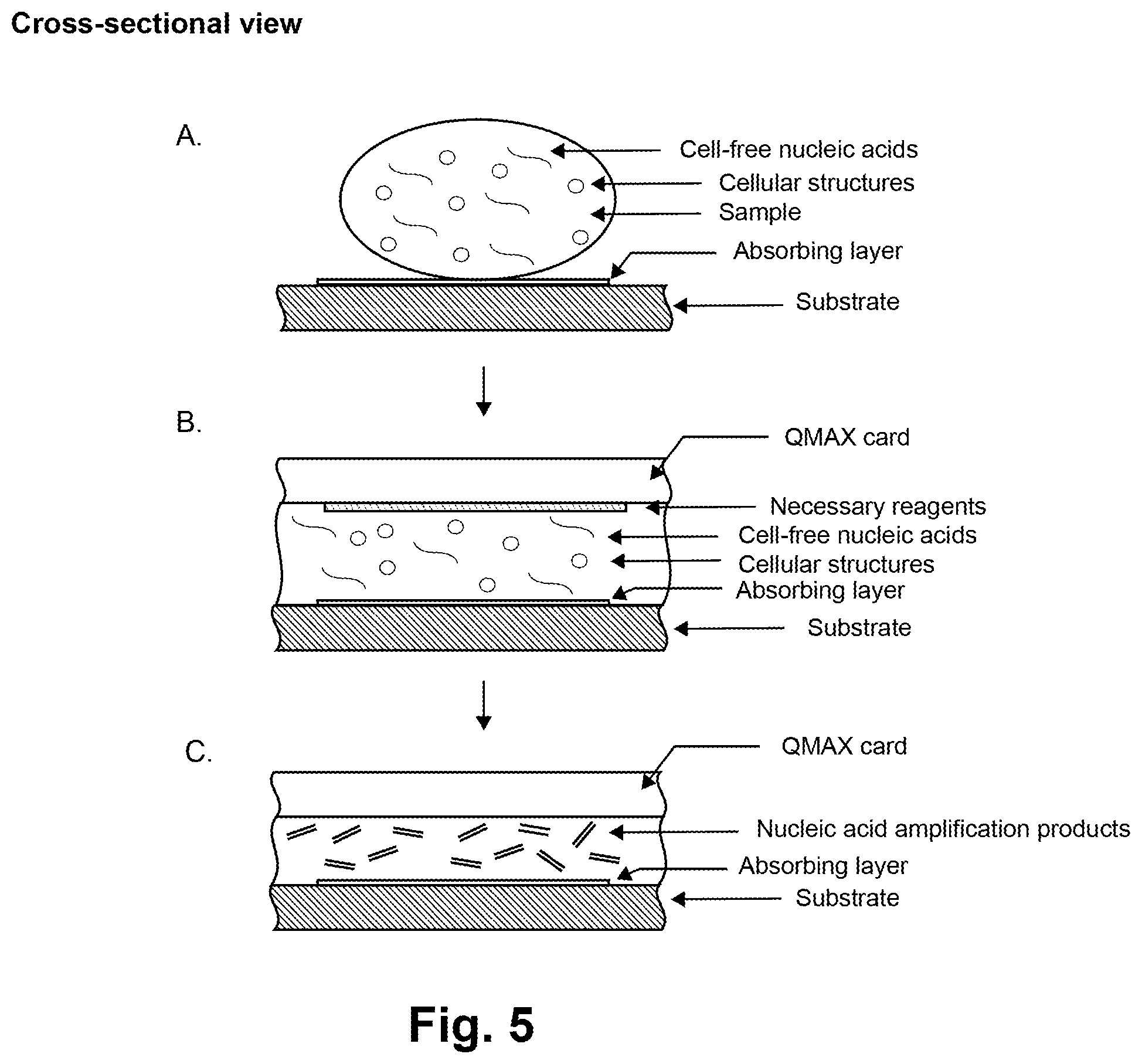 Patent US12350680 Figure 5 – Assay with rapid temperature change