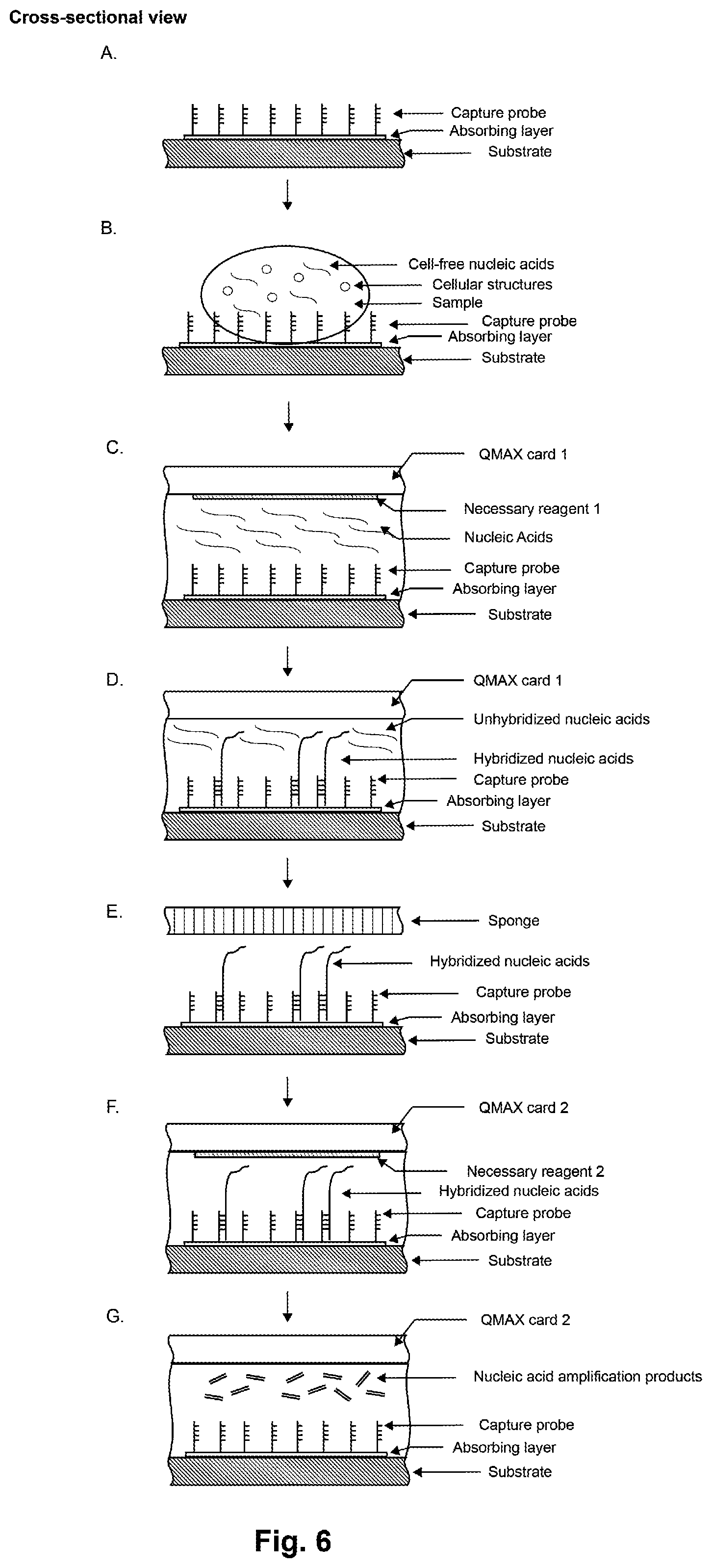 Patent US12350680 Figure 6 – Assay with rapid temperature change