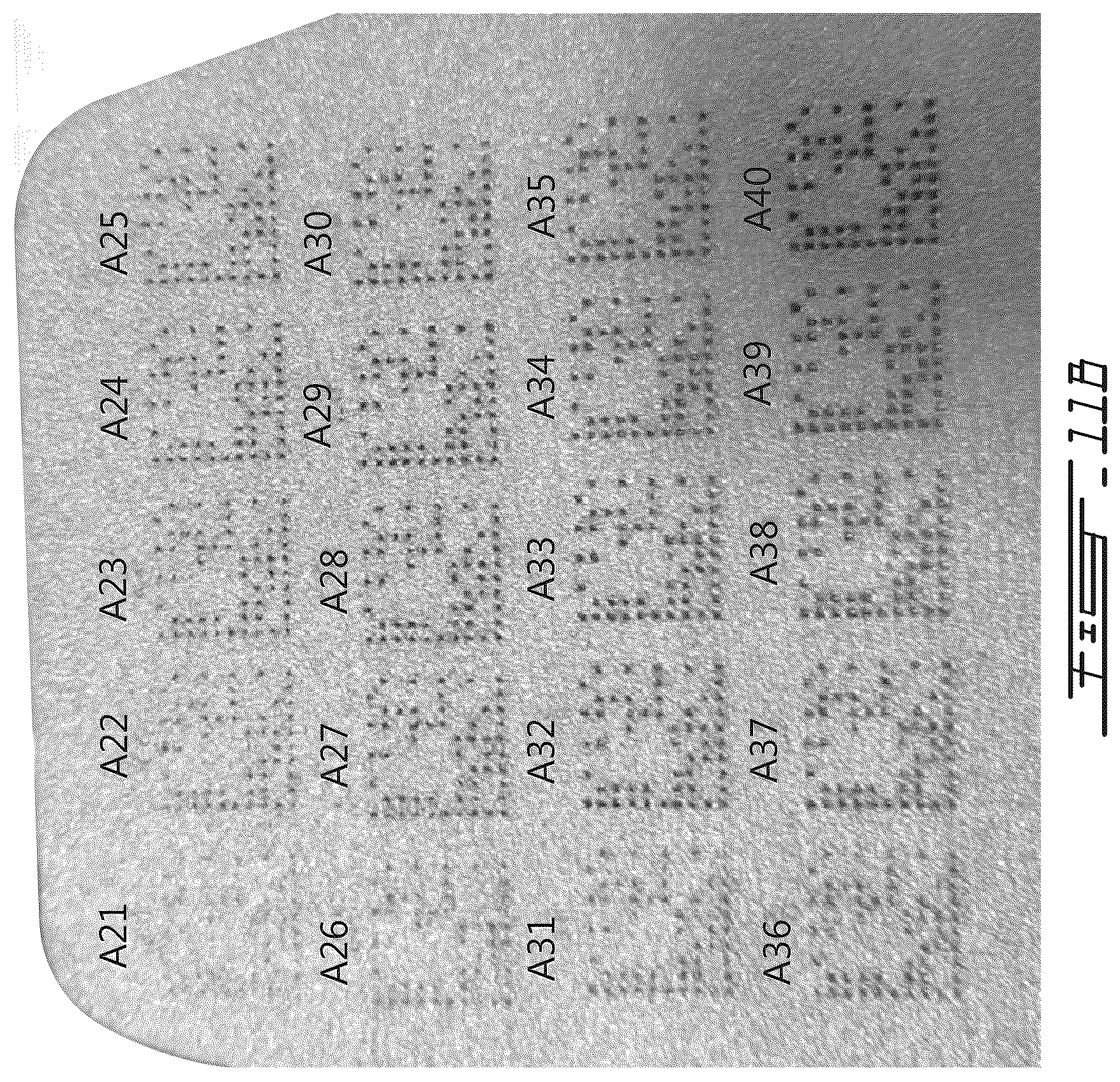 Patent US12350757 Figure 12 – Metal workpieces with shot blast resistant identifiers, methods and systems for laser-marking such identifiers