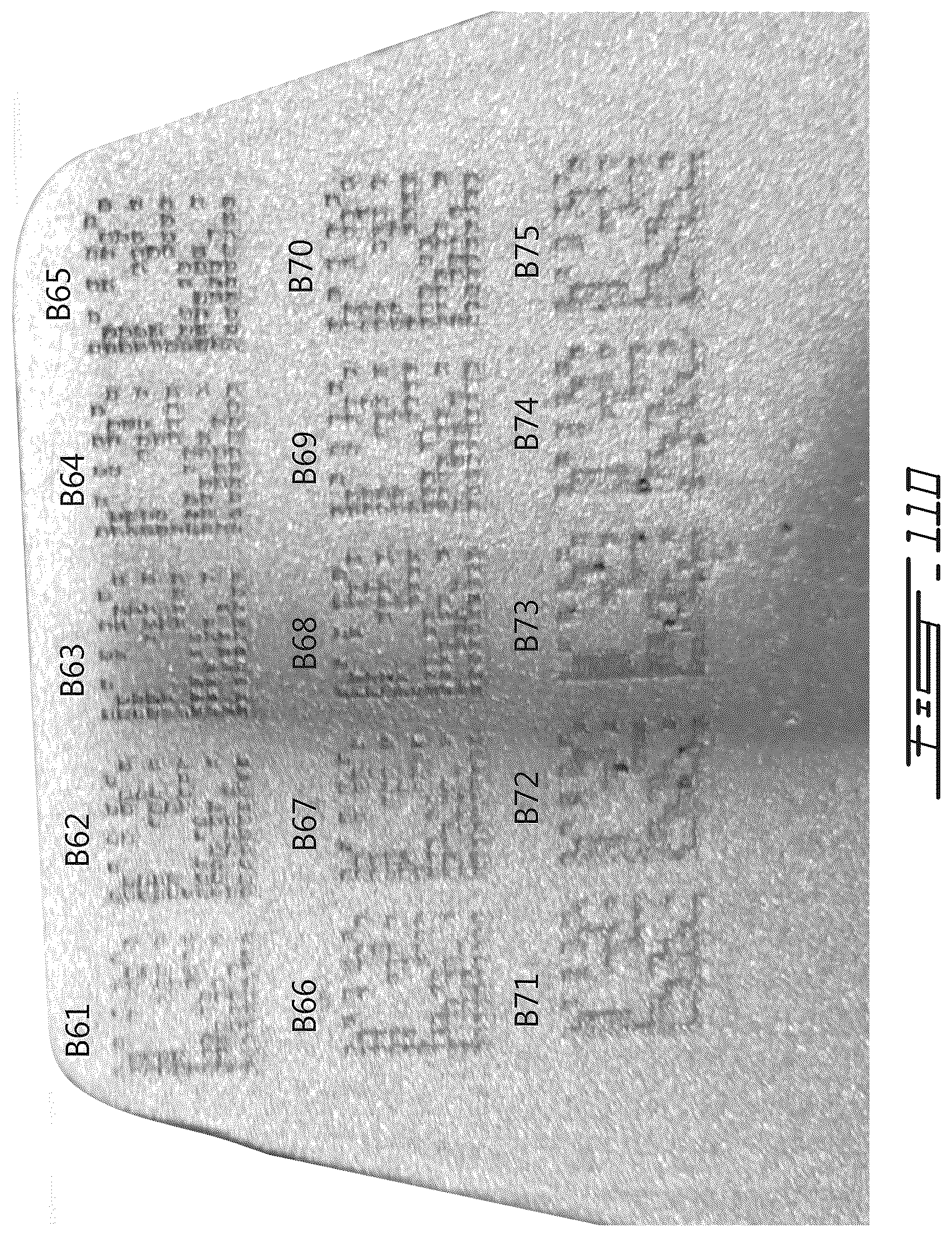 Patent US12350757 Figure 14 – Metal workpieces with shot blast resistant identifiers, methods and systems for laser-marking such identifiers