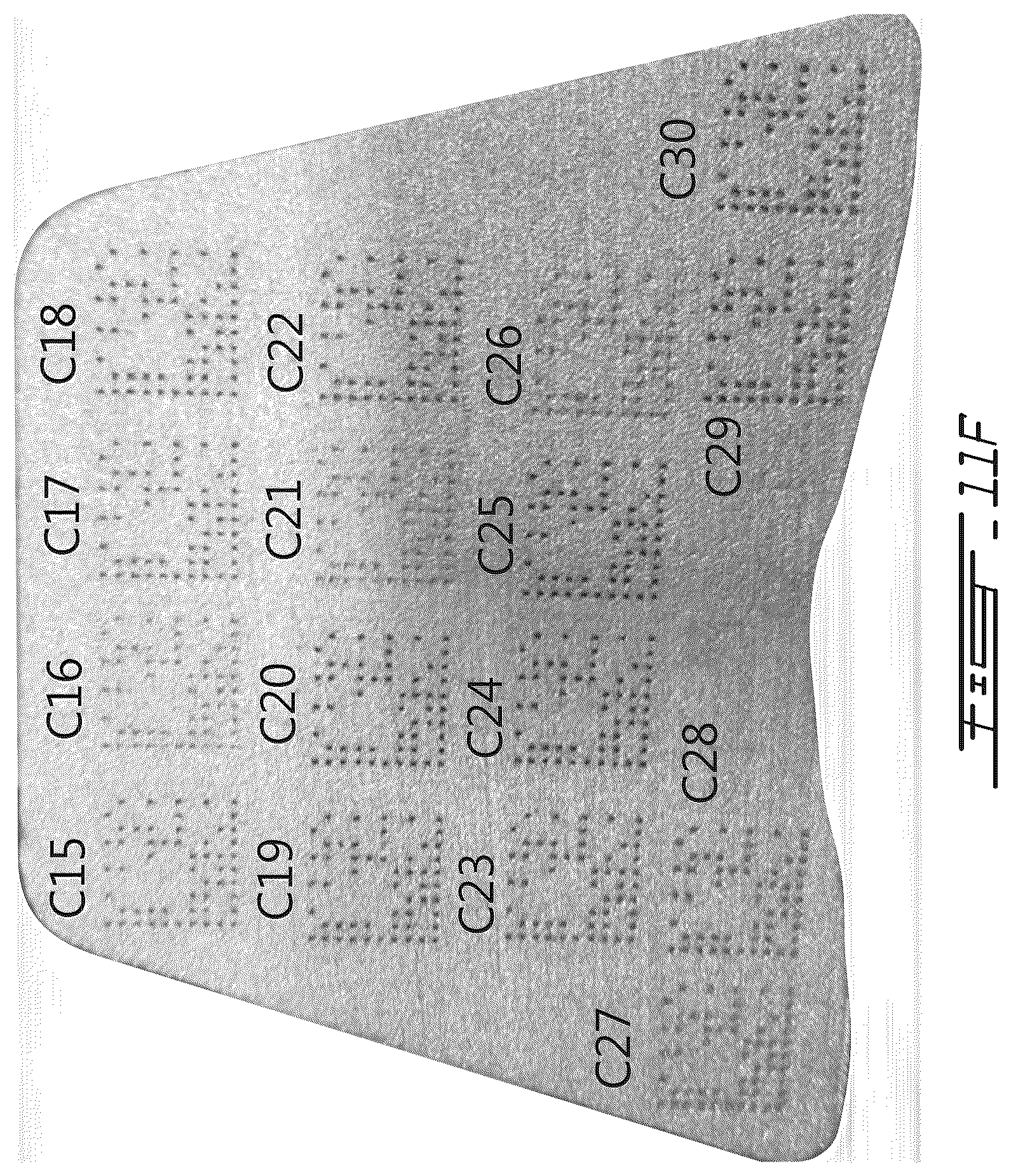 Patent US12350757 Figure 16 – Metal workpieces with shot blast resistant identifiers, methods and systems for laser-marking such identifiers