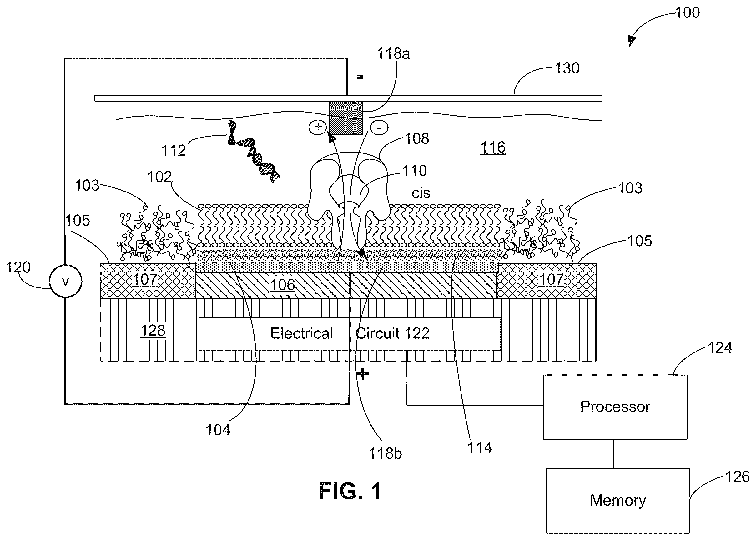 Patent US12350891 Figure 1 – Systems and methods for forming a nanopore in a lipid bilayer