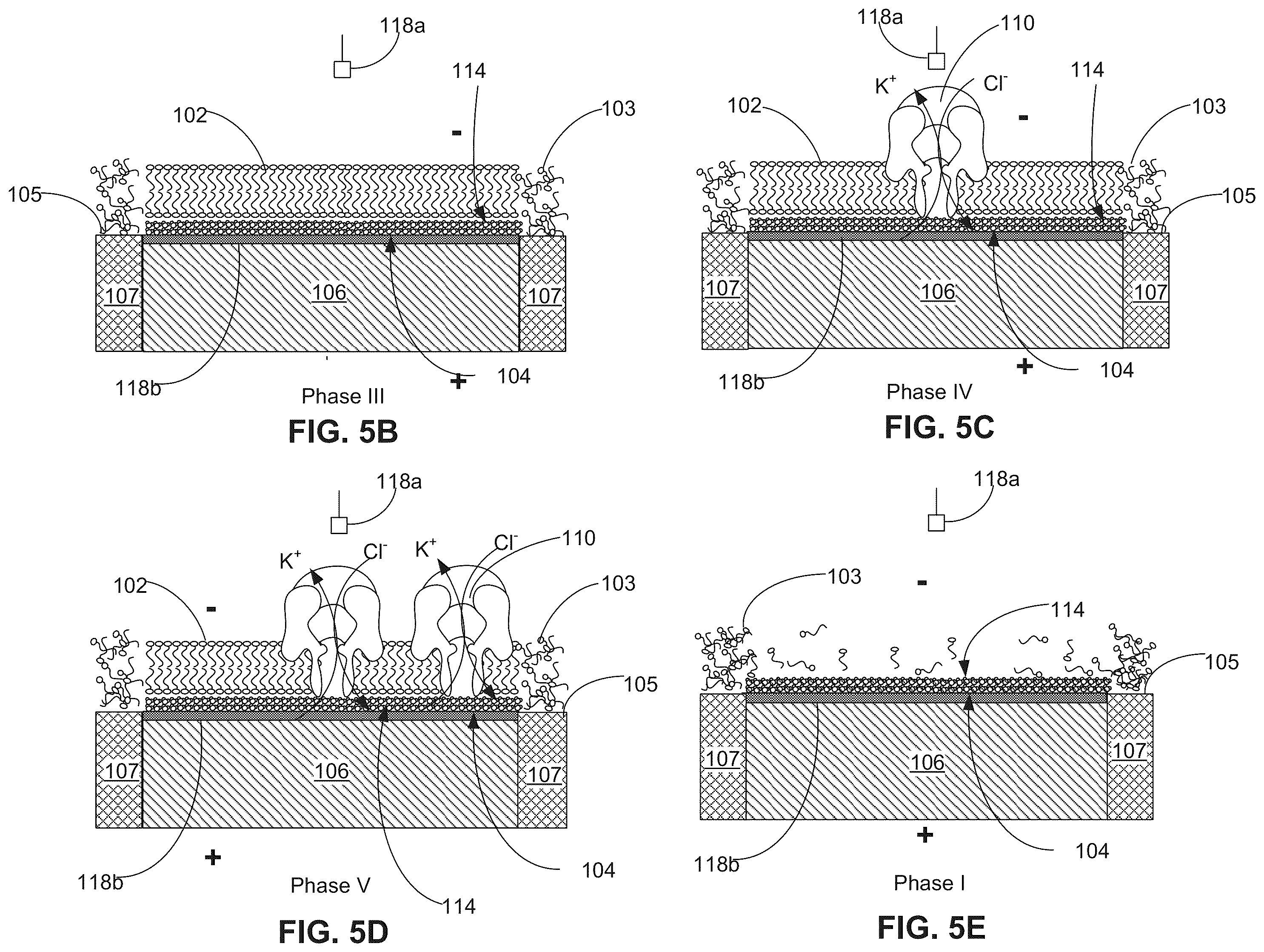 Patent US12350891 Figure 8 – Systems and methods for forming a nanopore in a lipid bilayer