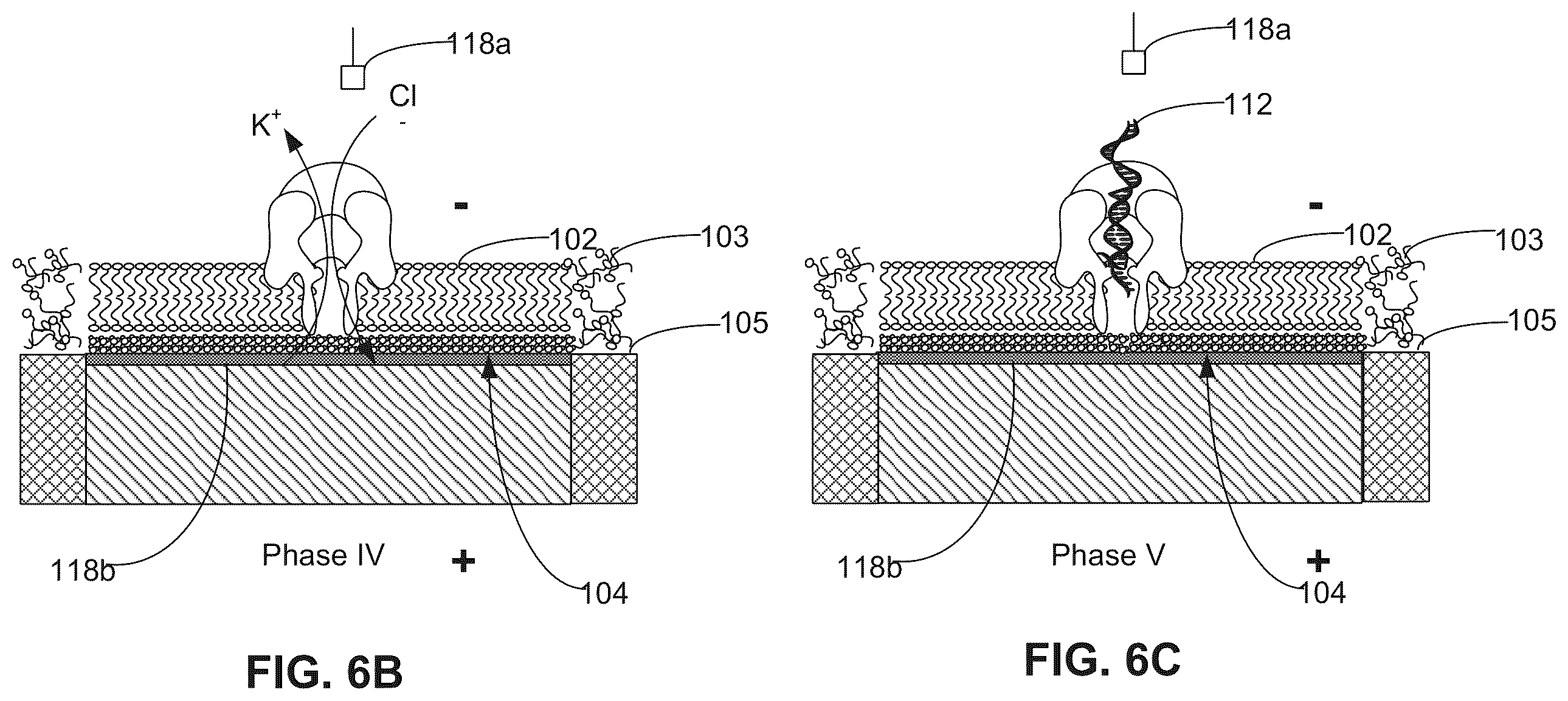 Patent US12350891 Figure 10 – Systems and methods for forming a nanopore in a lipid bilayer
