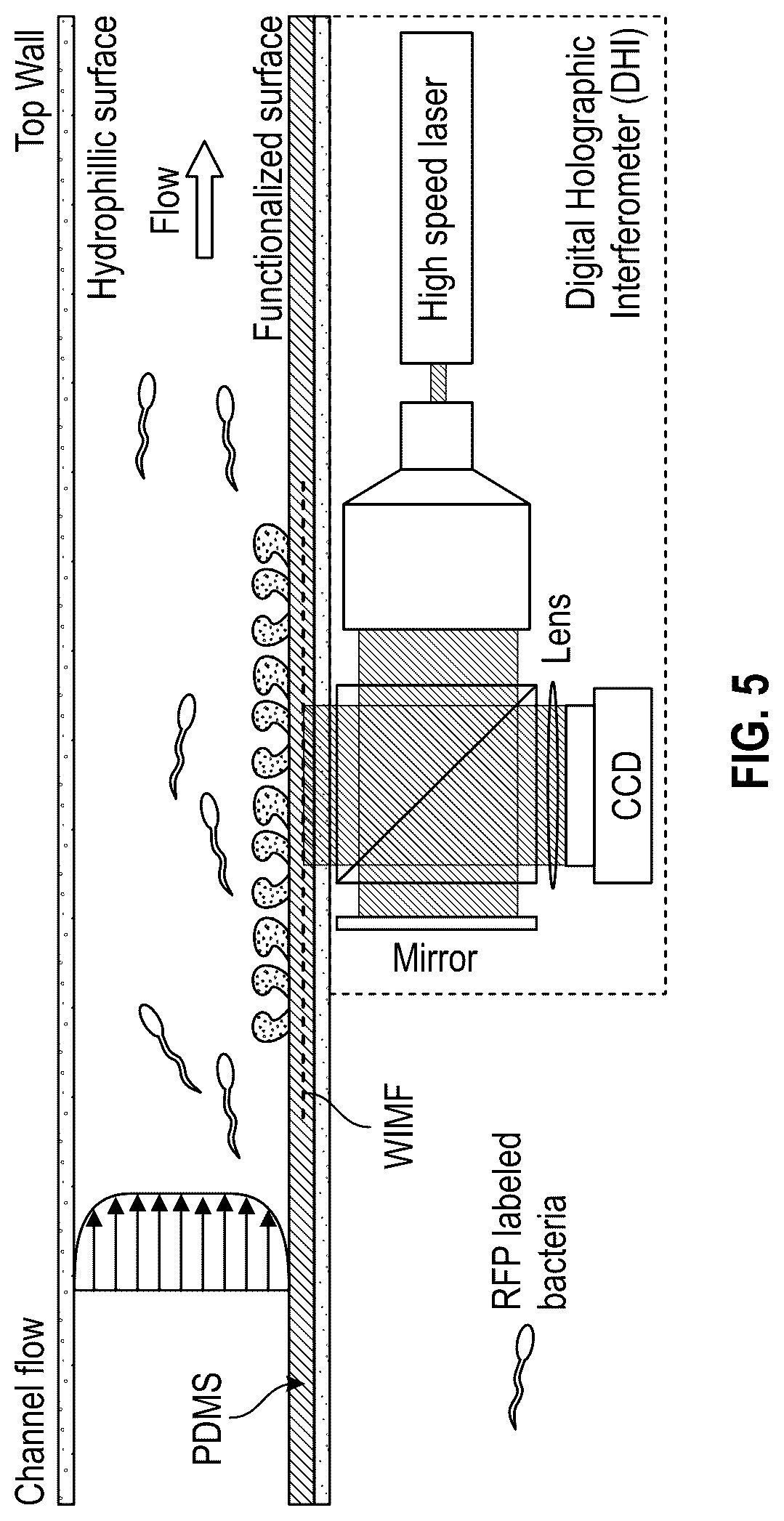 Patent US12350903 Figure 3 – Scalable fabrication of wrinkle-free and stress-free metallic and metallic oxide films
