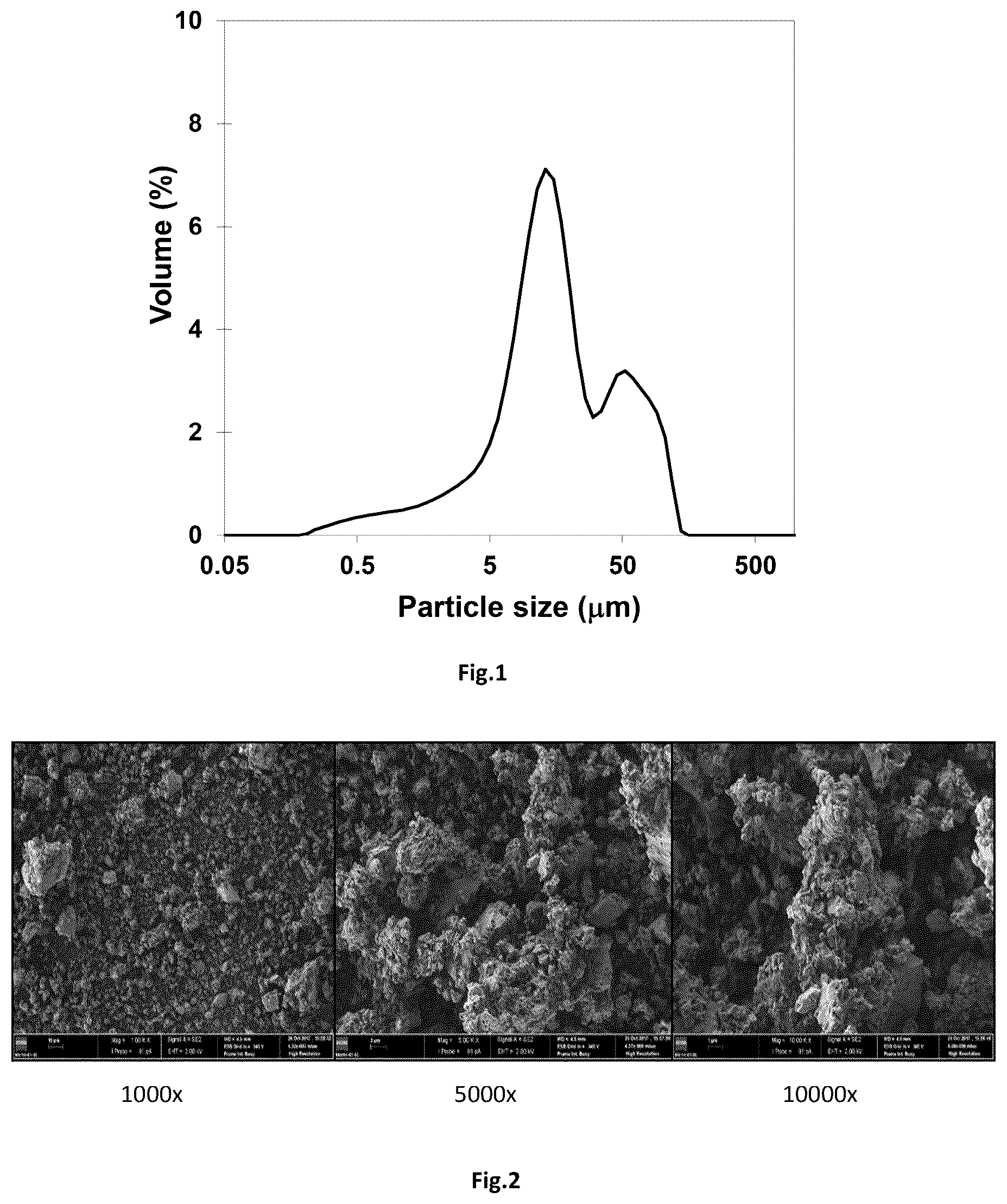 Patent US12350909 Figure 1 – Thermal stabilizer material, method of obtaining and uses thereof