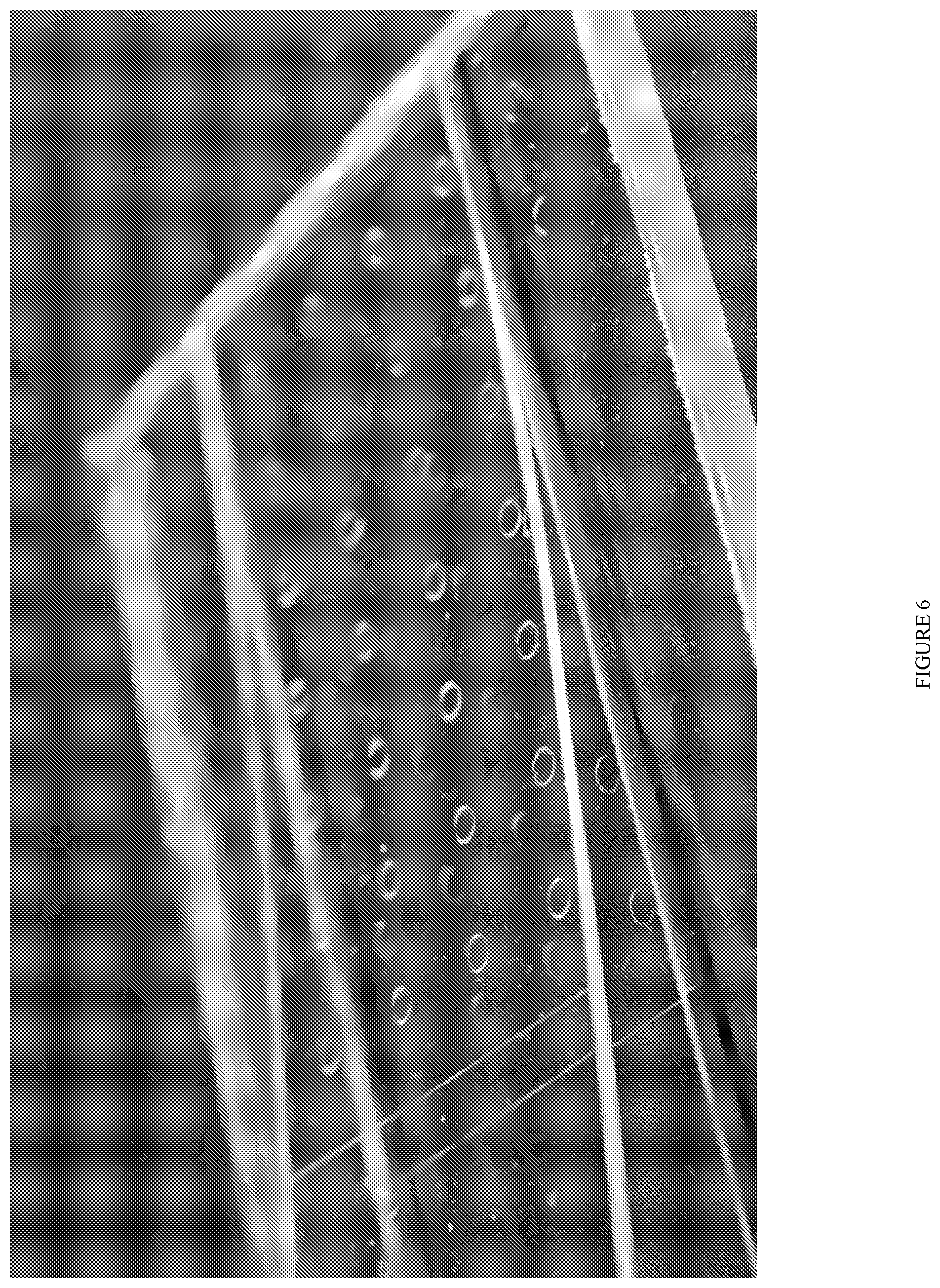 Patent US12350923 Figure 6 – Interlayer and laminate with controlled debonding zone treatments