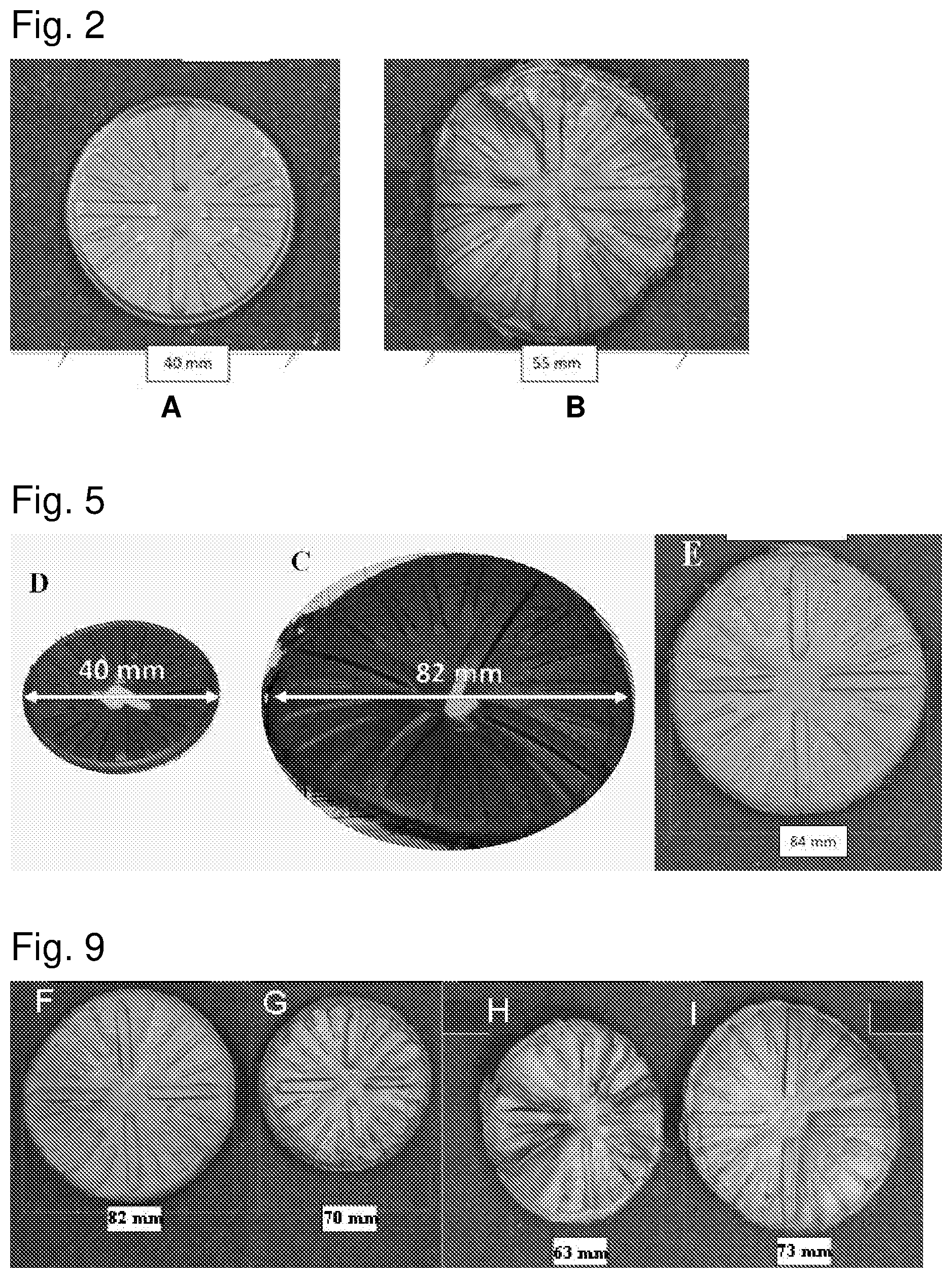 Patent US12350977 Figure 2 – Soundproof tyre for vehicle wheels