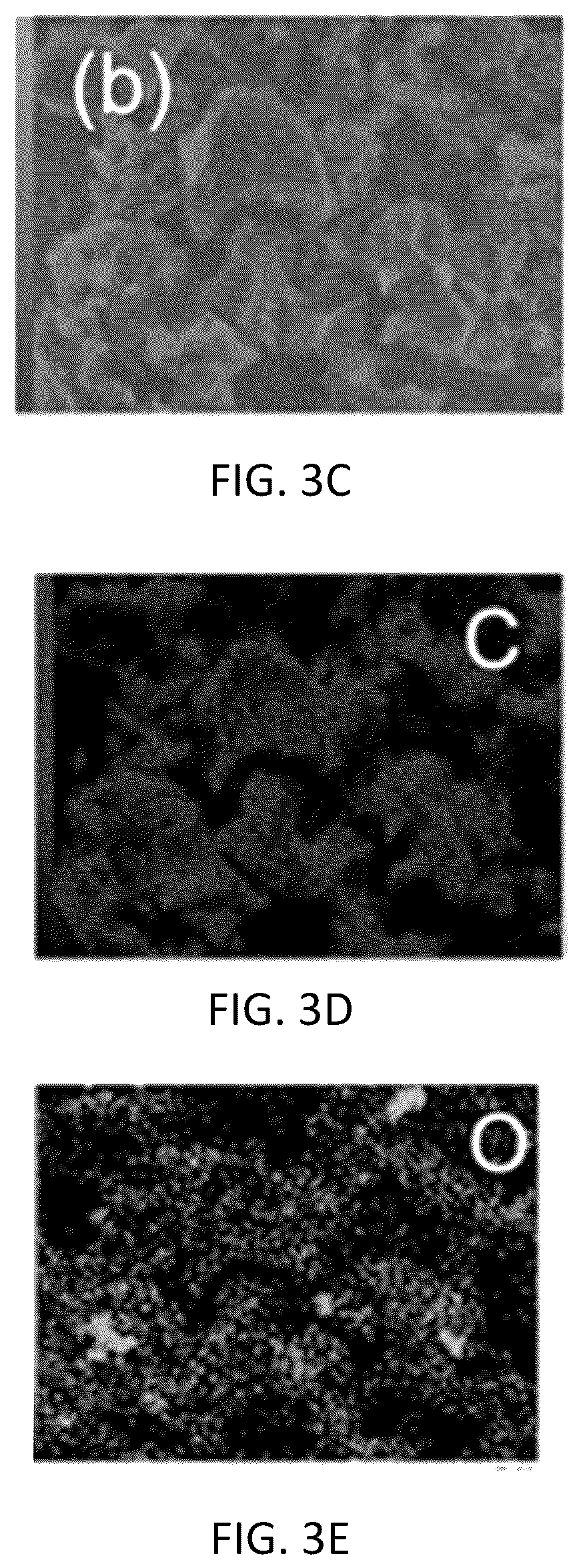 Patent US12351465 Figure 3 – Method for preparing nitrogen/sulfur-doped activated carbon