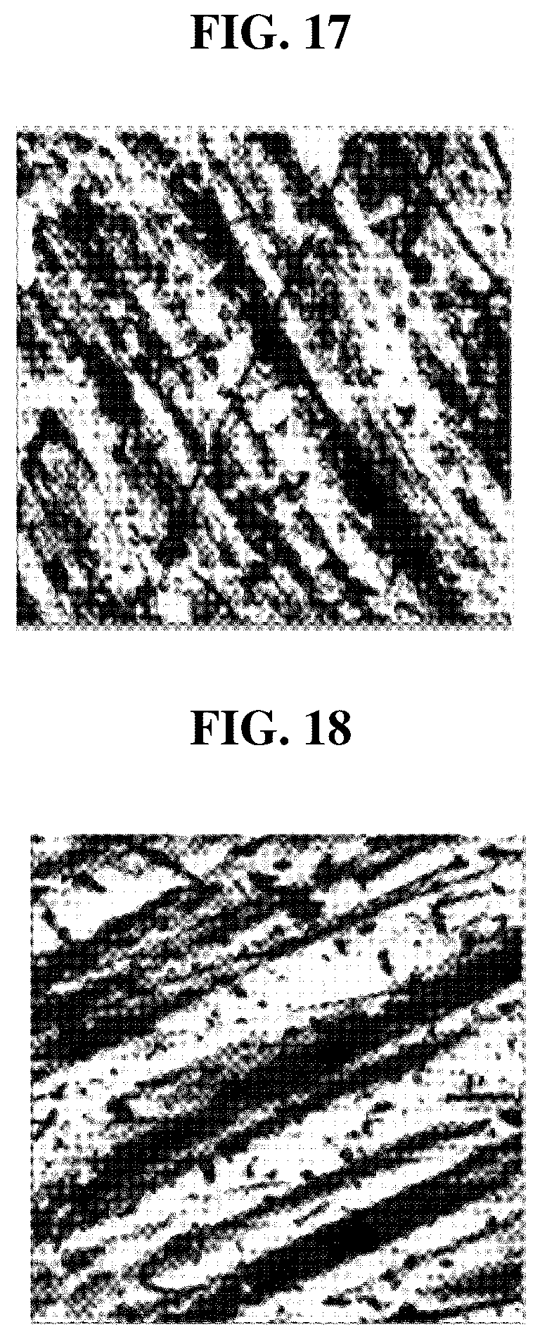 Patent US12351508 Figure 10 – Glass article and method for producing the same
