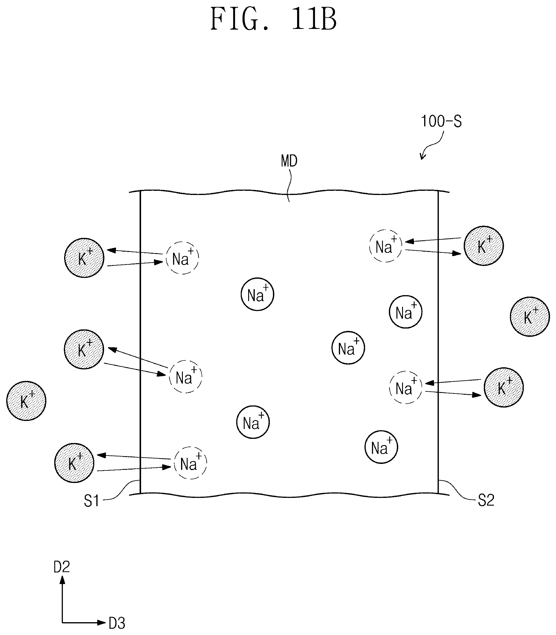 Patent US12351509 Figure 17 – Window and method of manufacturing the same