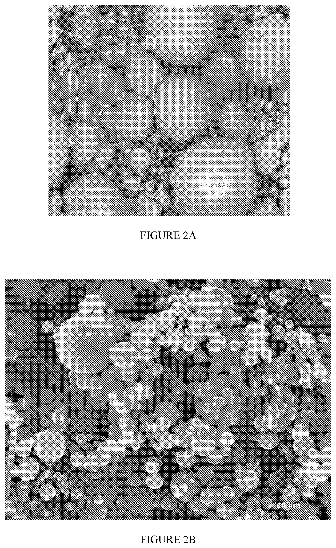 Patent US12351526 Figure 2 – Method of stabilizing an admixture component, a stabilized admixture for cementitious compositions, cementitious composition, cementitious structures and methods of making the same