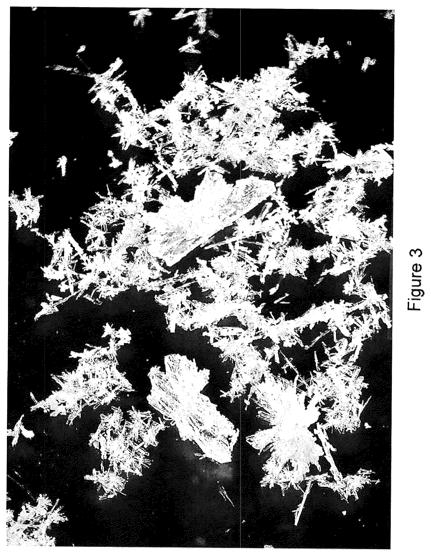 Patent US12351543 Figure 3 – Process for the preparation of a metastable crystal modification of N-(aminoiminomethyl)-2-aminoethanoic acid (IV)