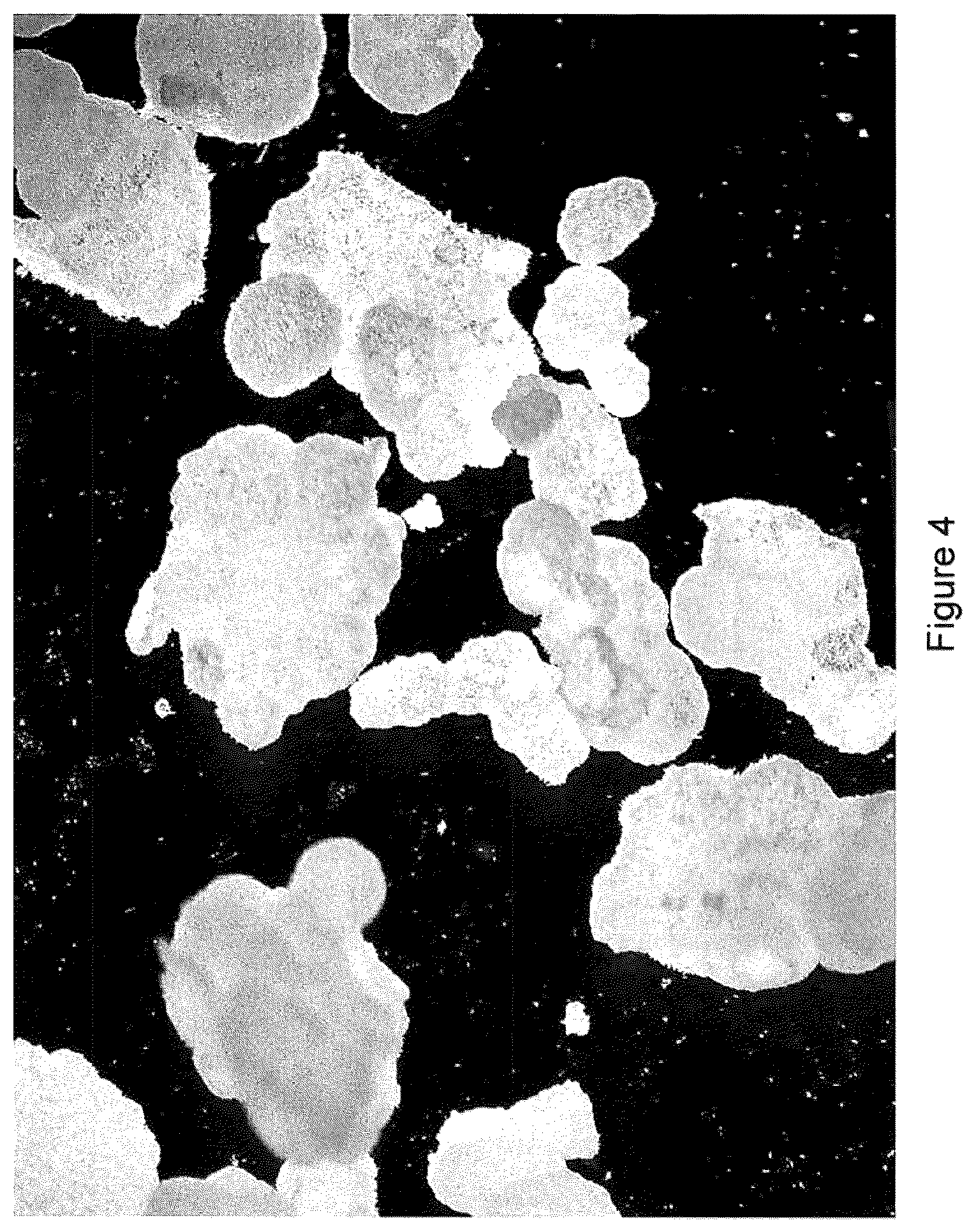 Patent US12351543 Figure 4 – Process for the preparation of a metastable crystal modification of N-(aminoiminomethyl)-2-aminoethanoic acid (IV)