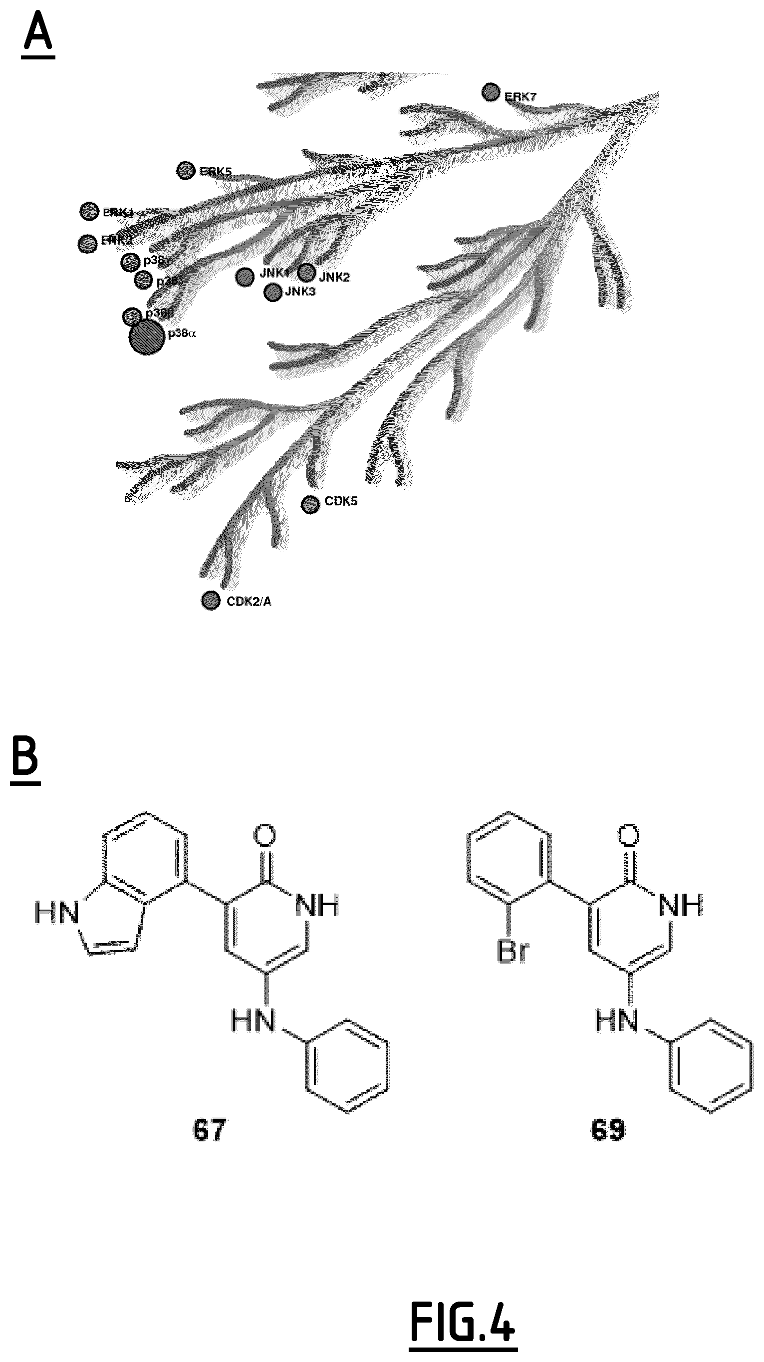 Patent US12351556 Figure 3 – Pyridin-2(1H)one derivatives, their preparation and their use for the treatment of pain