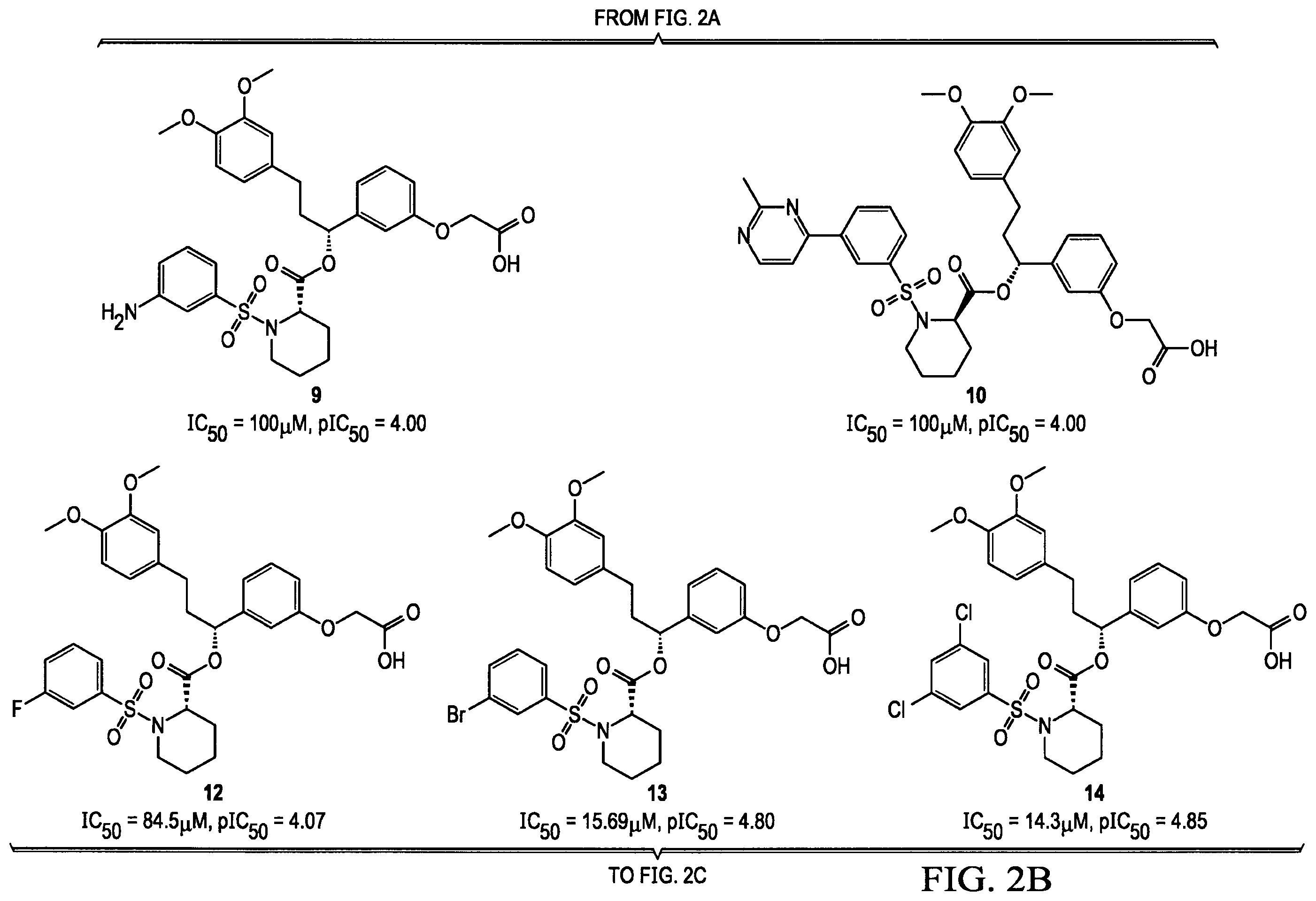 Patent US12351560 Figure 3 – Next generation FKBP52 targeting drugs for the treatment of prostate and breast cancer