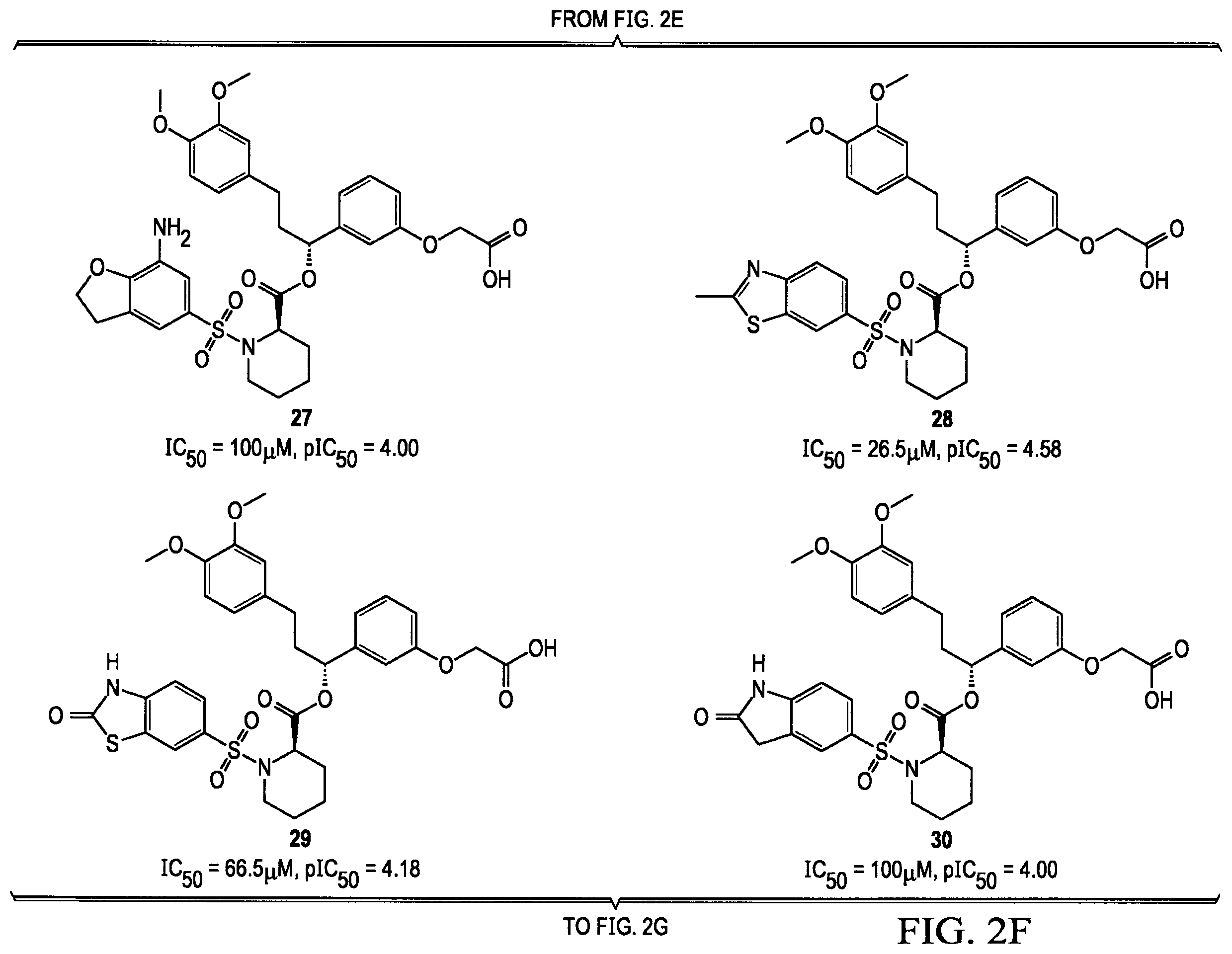 Patent US12351560 Figure 7 – Next generation FKBP52 targeting drugs for the treatment of prostate and breast cancer